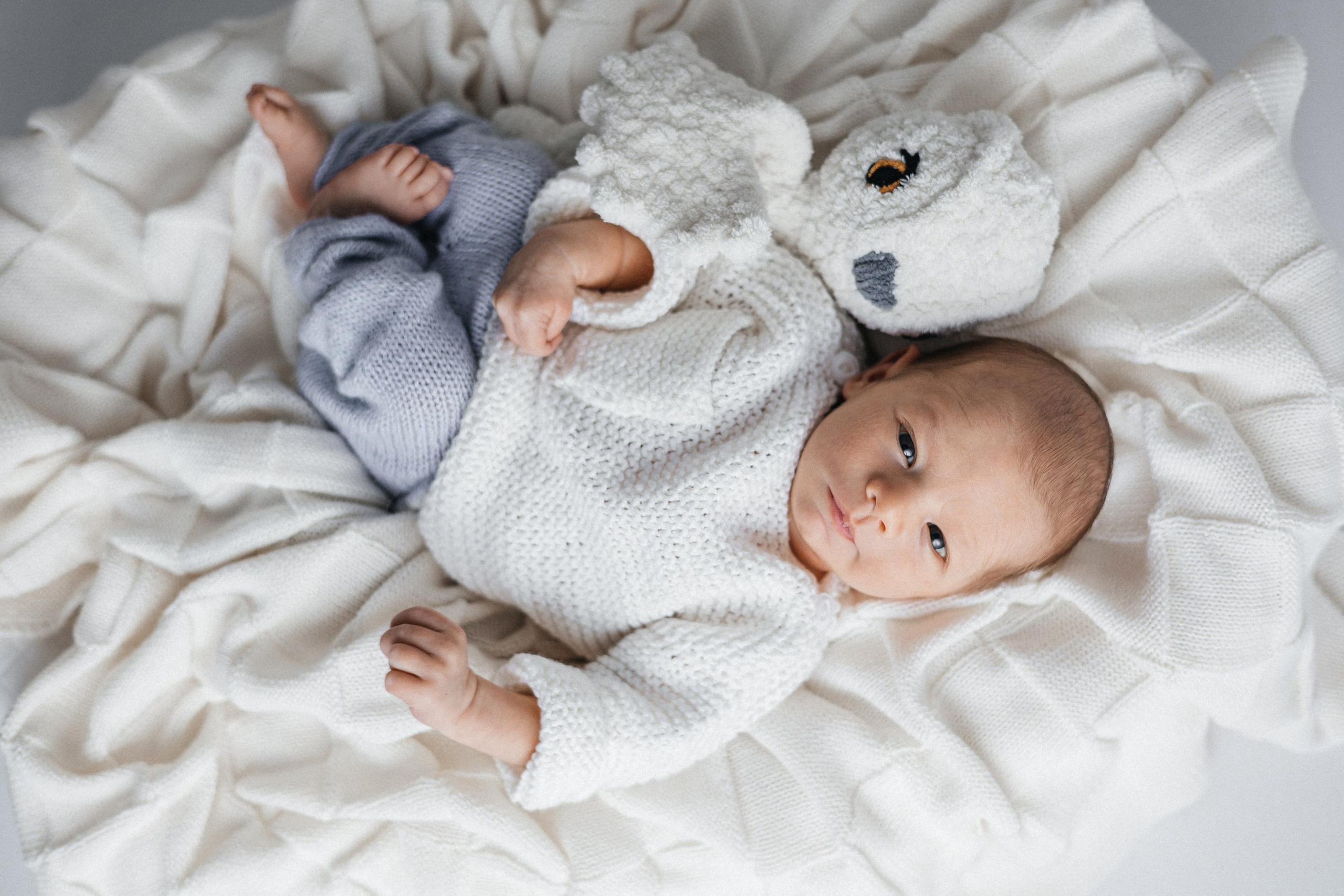 Филип, пакет «Комфорт», 15 дней. Фотограф новорождённых Екатерина Боброва. Ульяновск