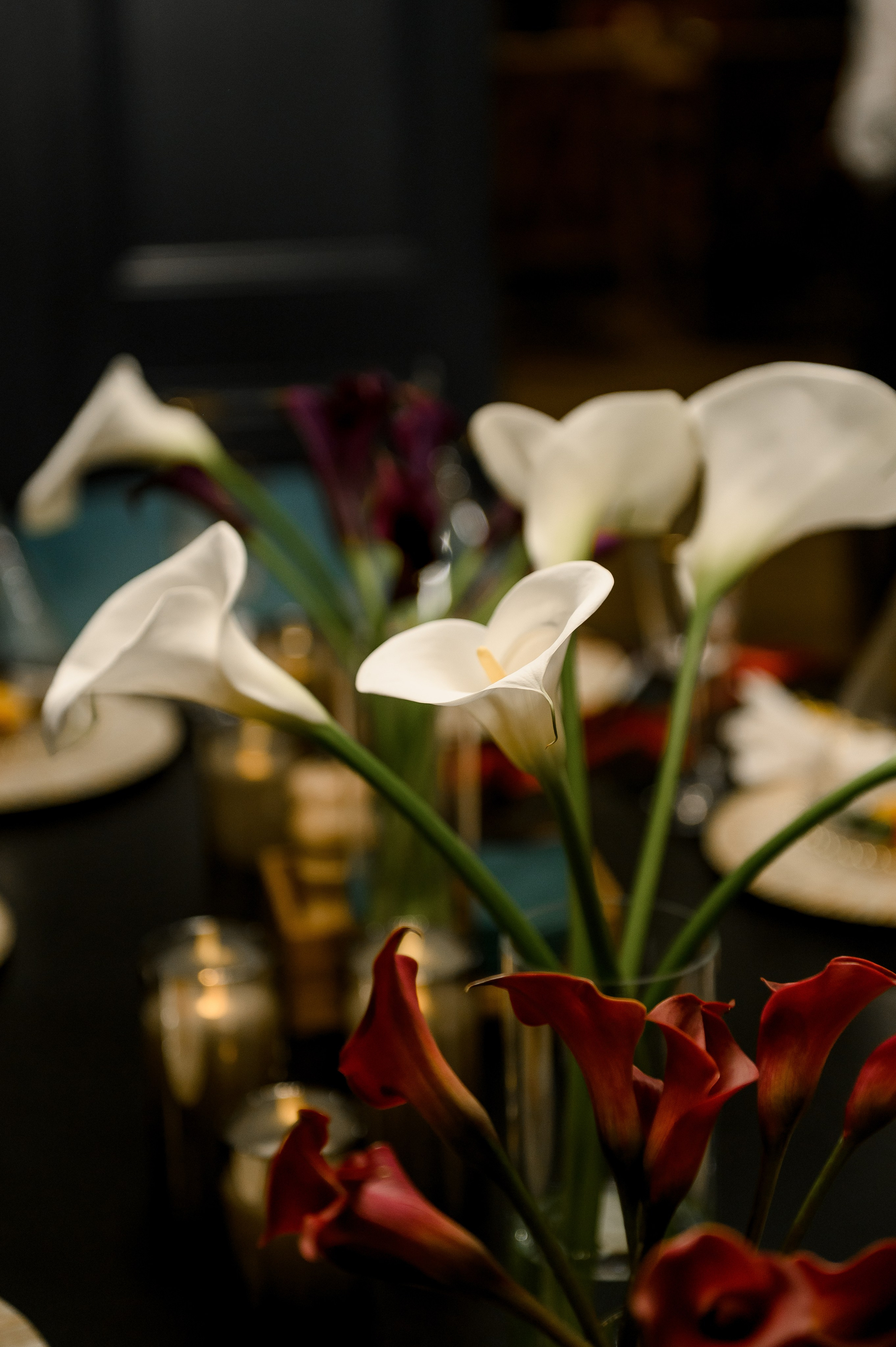 День Рождение Светланы. Свадебный и семейный фотограф в Ставрополе Роман Иванов