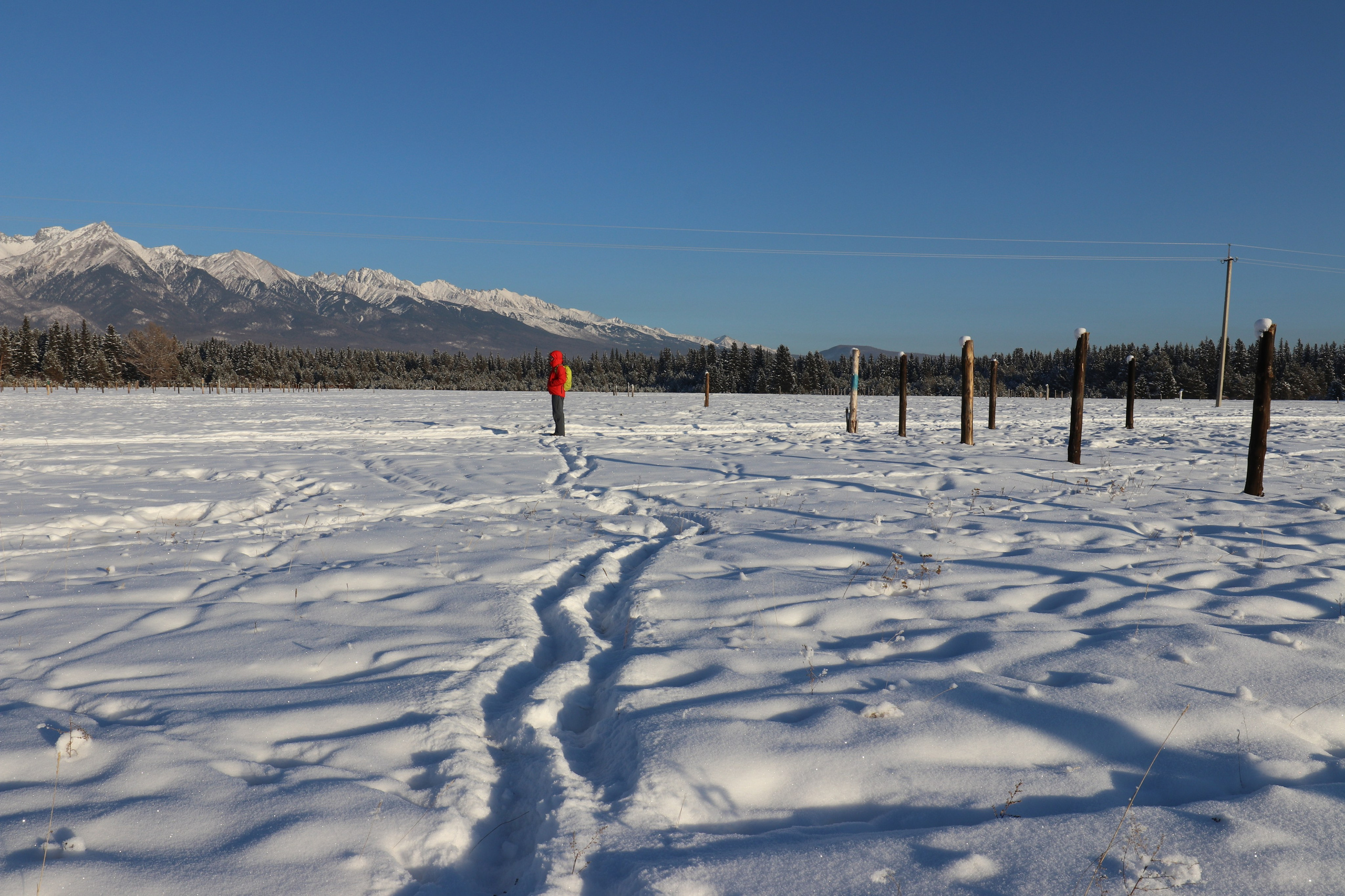 Аршан. Январь 2022. Путешественник-фотограф из Санкт-Петербурга Татьяна Свистулина