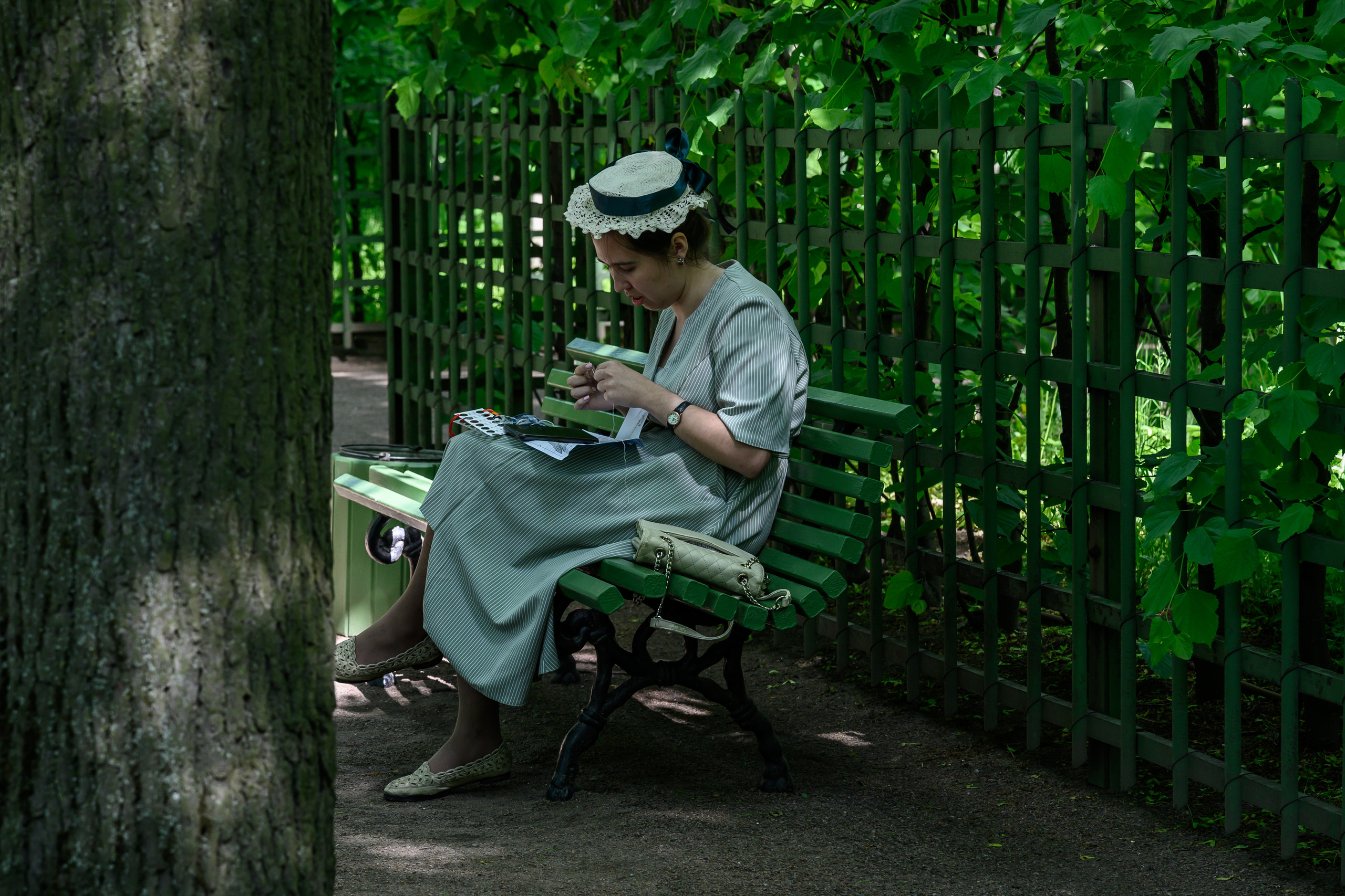 Dimitri Bakhtadze, Saint Petersburg. Dimitri Bakhtadze photographer