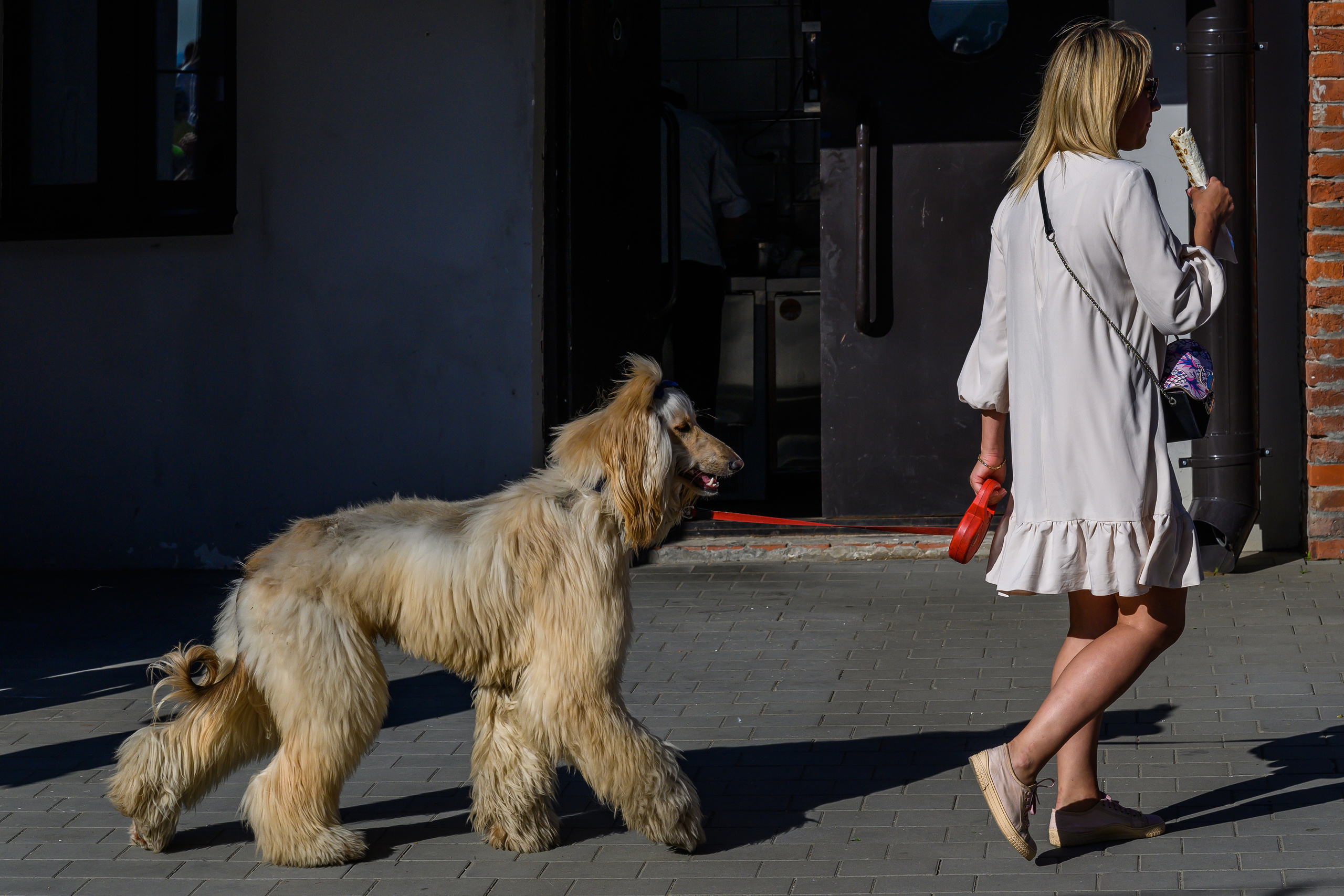 Dimitri Bakhtadze, Saint Petersburg. Dimitri Bakhtadze photographer