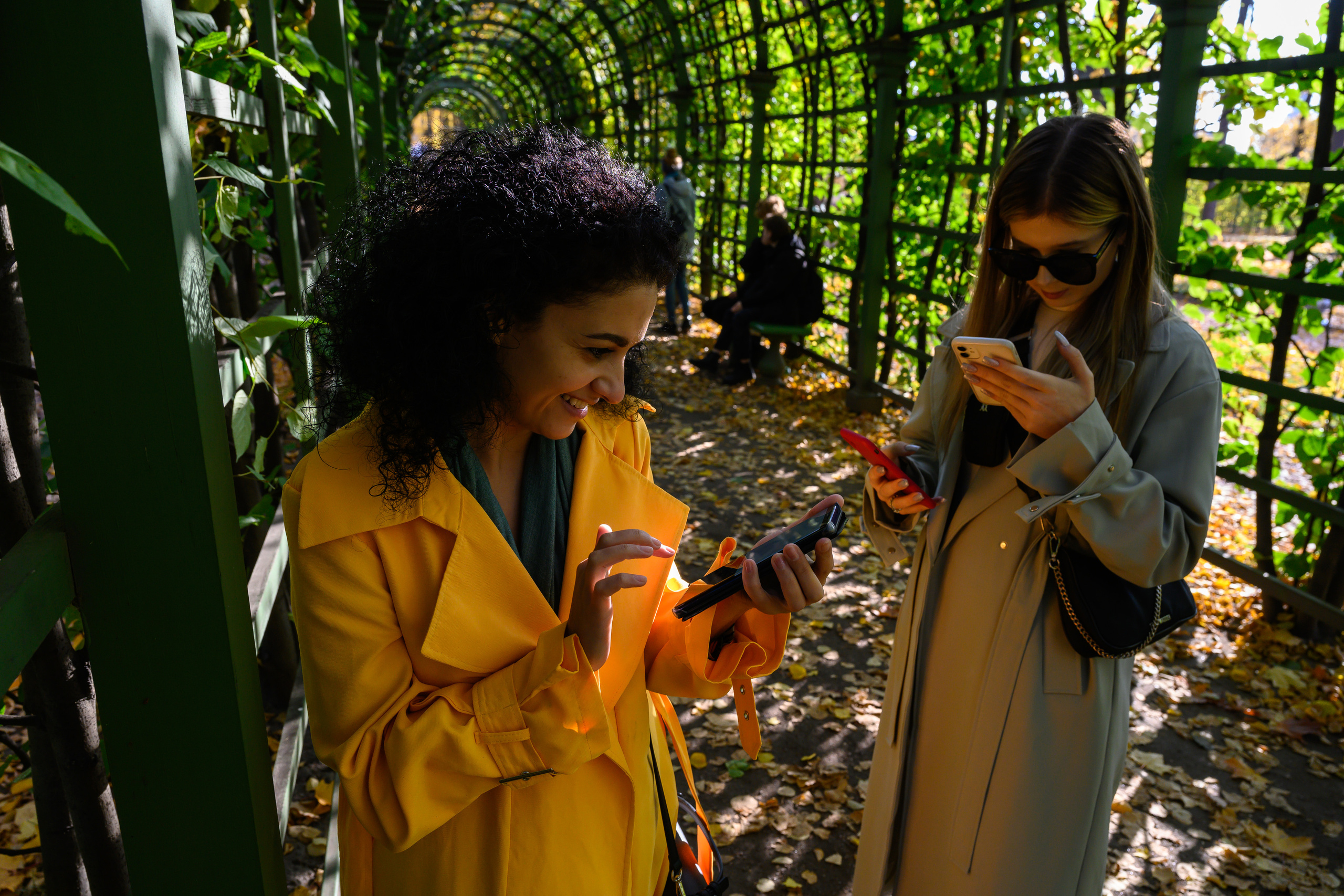 Dimitri Bakhtadze, Saint Petersburg. Dimitri Bakhtadze photographer