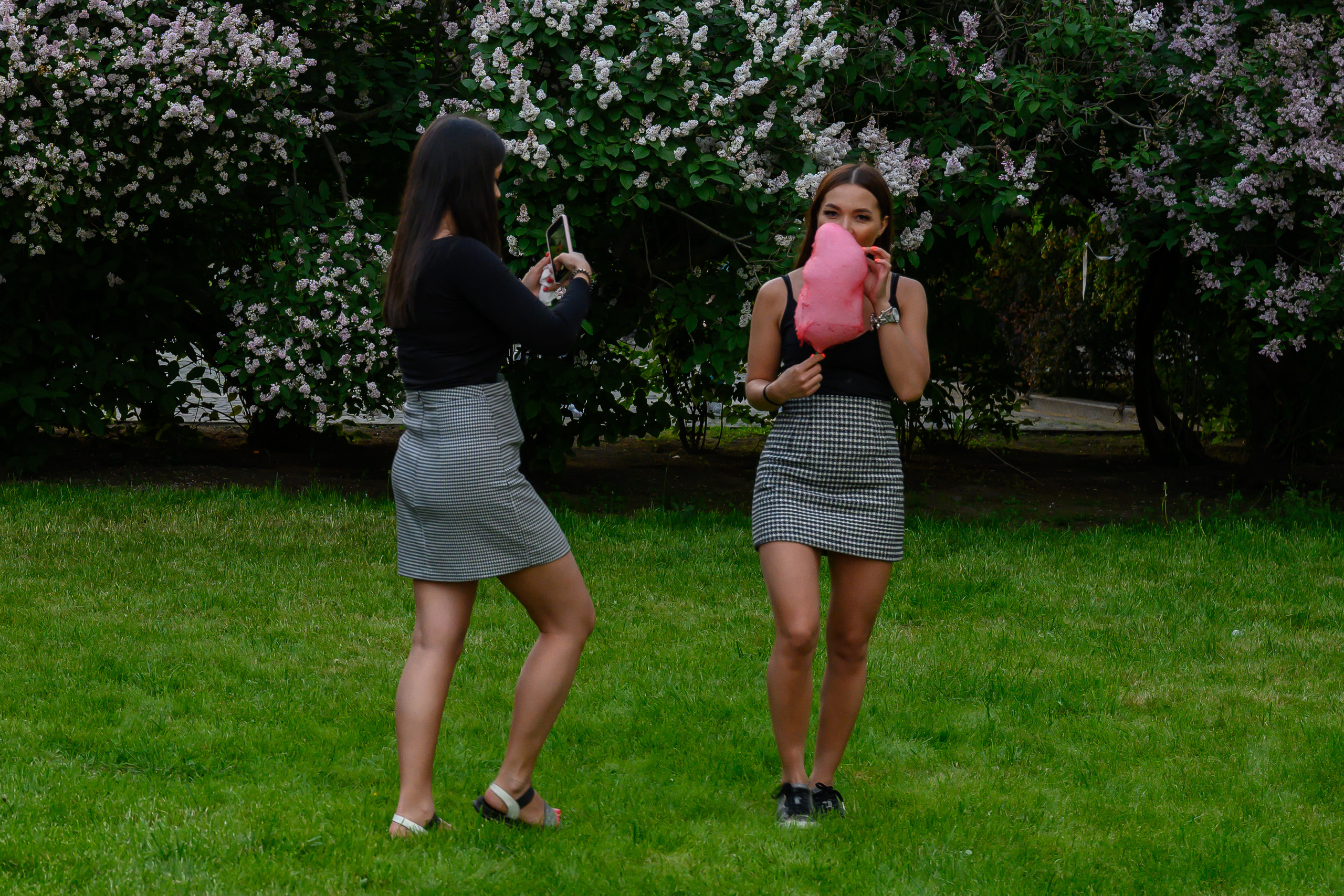 Dimitri Bakhtadze, Saint Petersburg. Dimitri Bakhtadze photographer