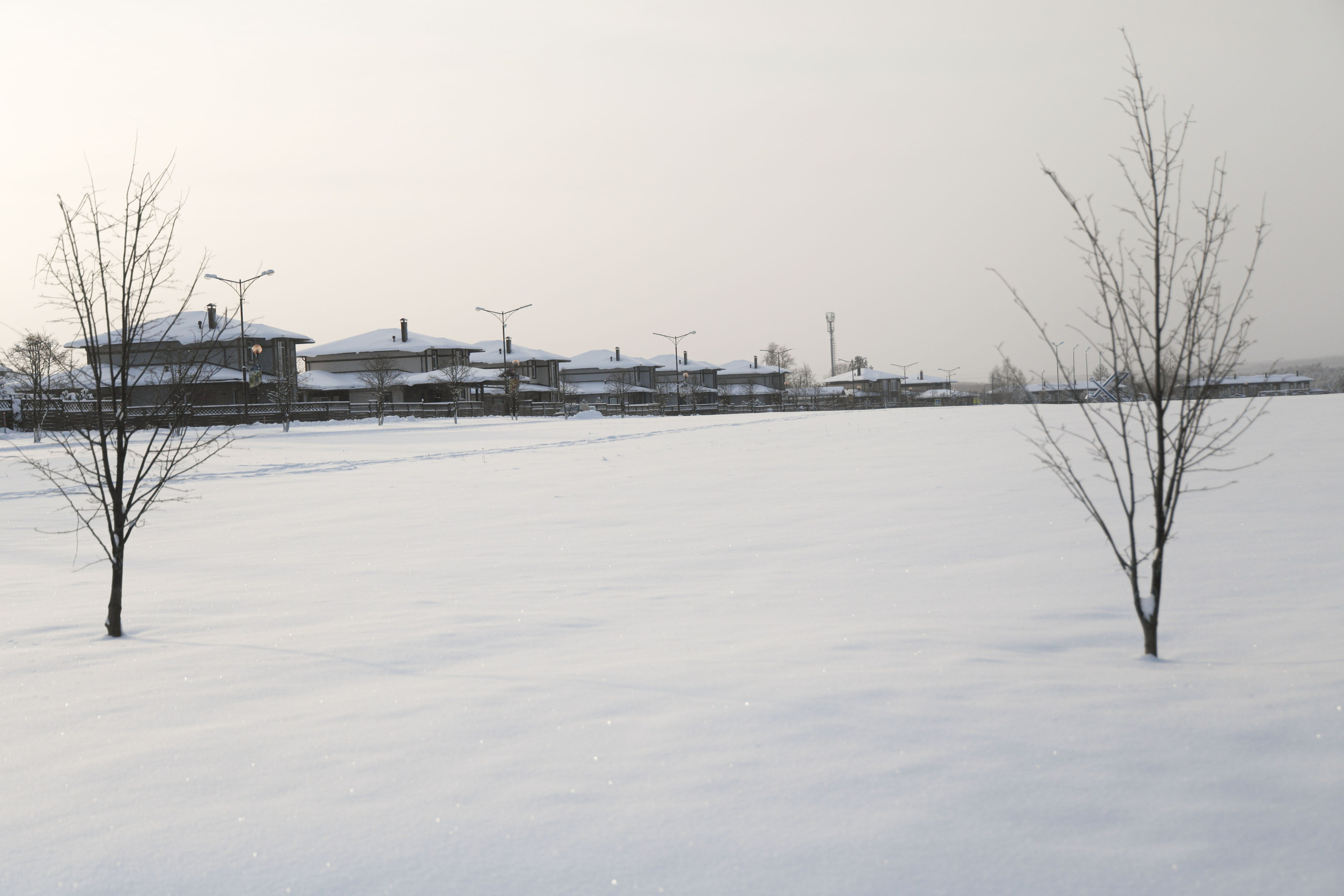 Рождествено Зима 2026. Фотограф Максим Татаринов