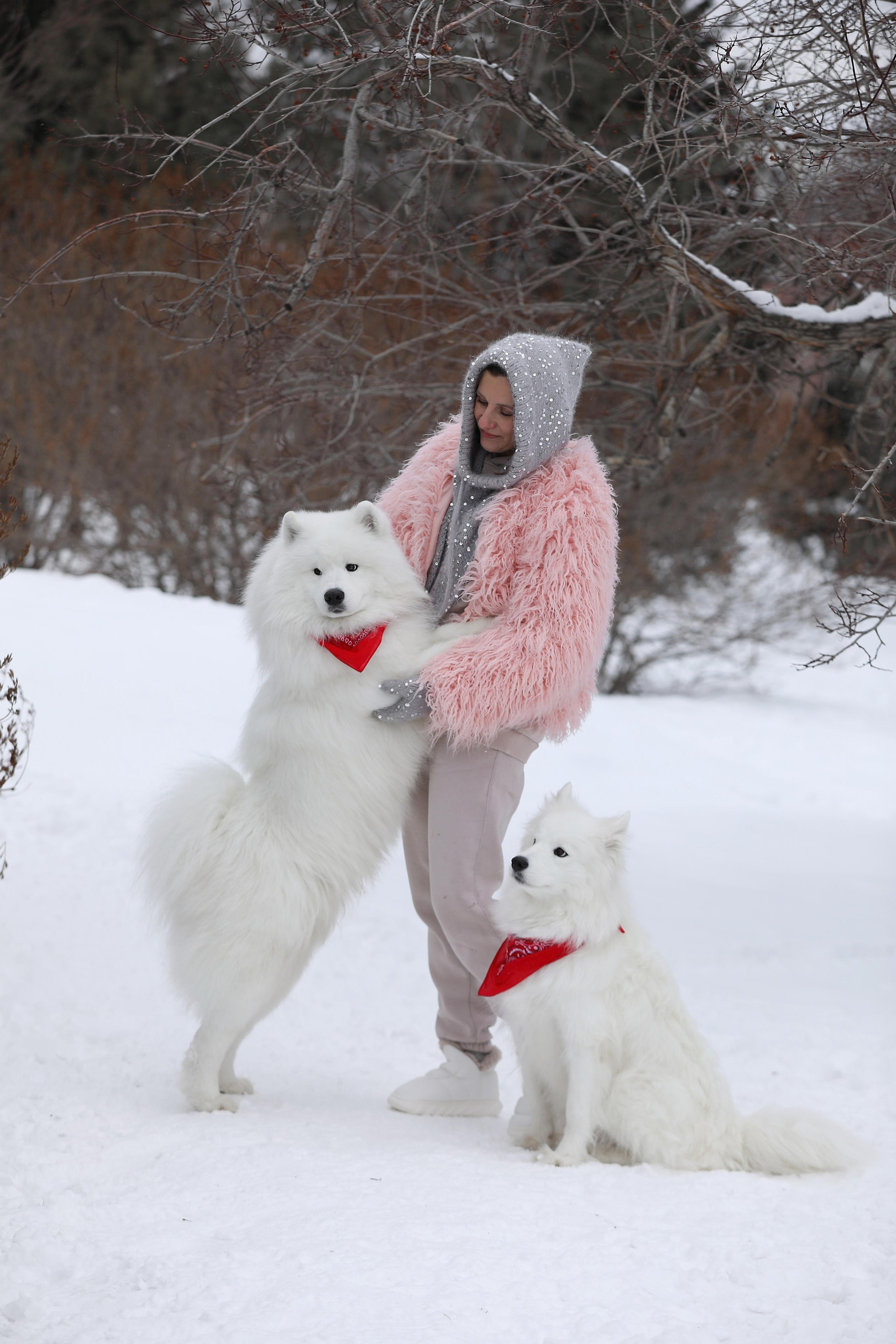 Юлия Квиткина фотограф. Самоед Новосибирск
