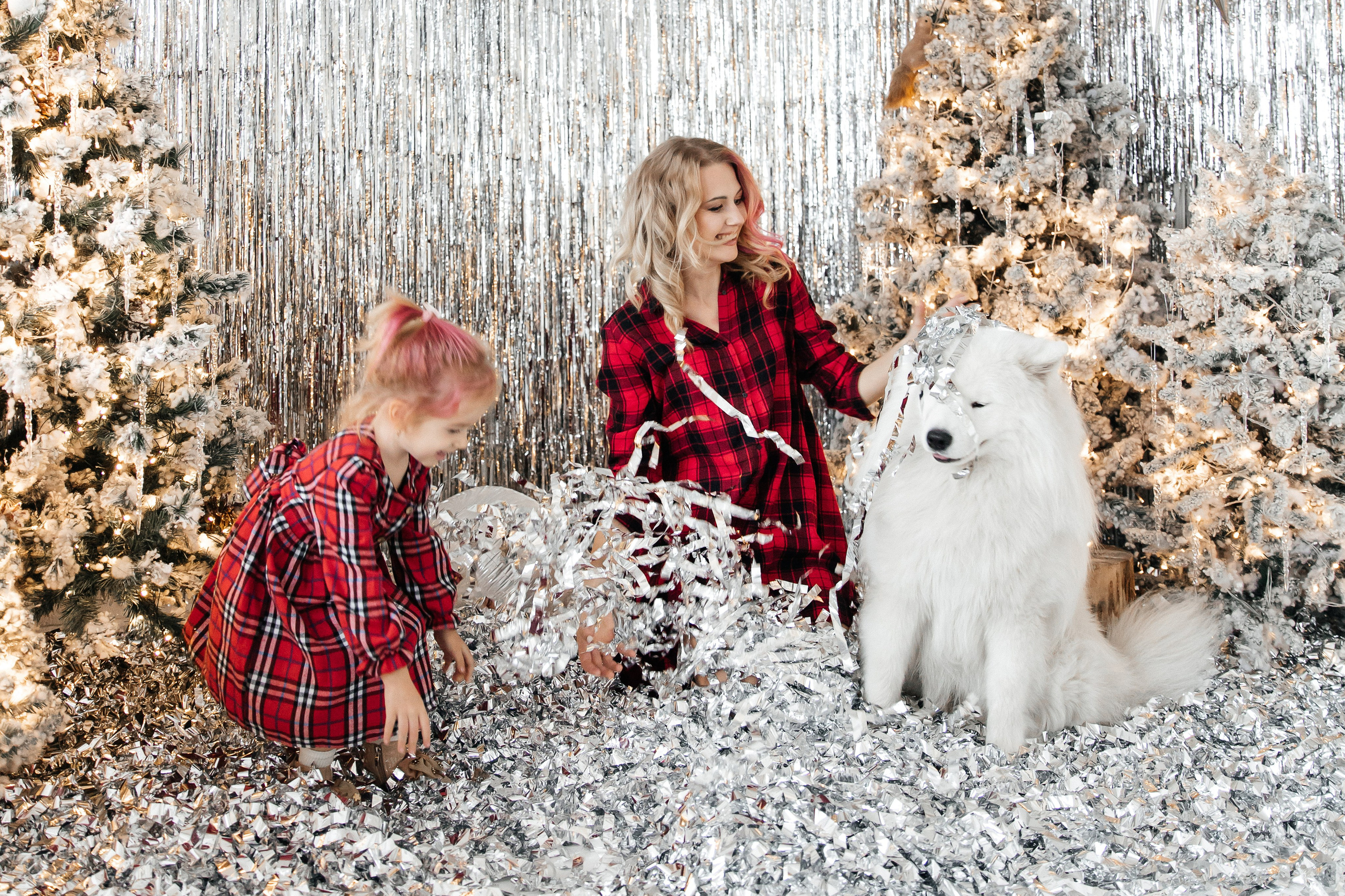 фотоссамоедами