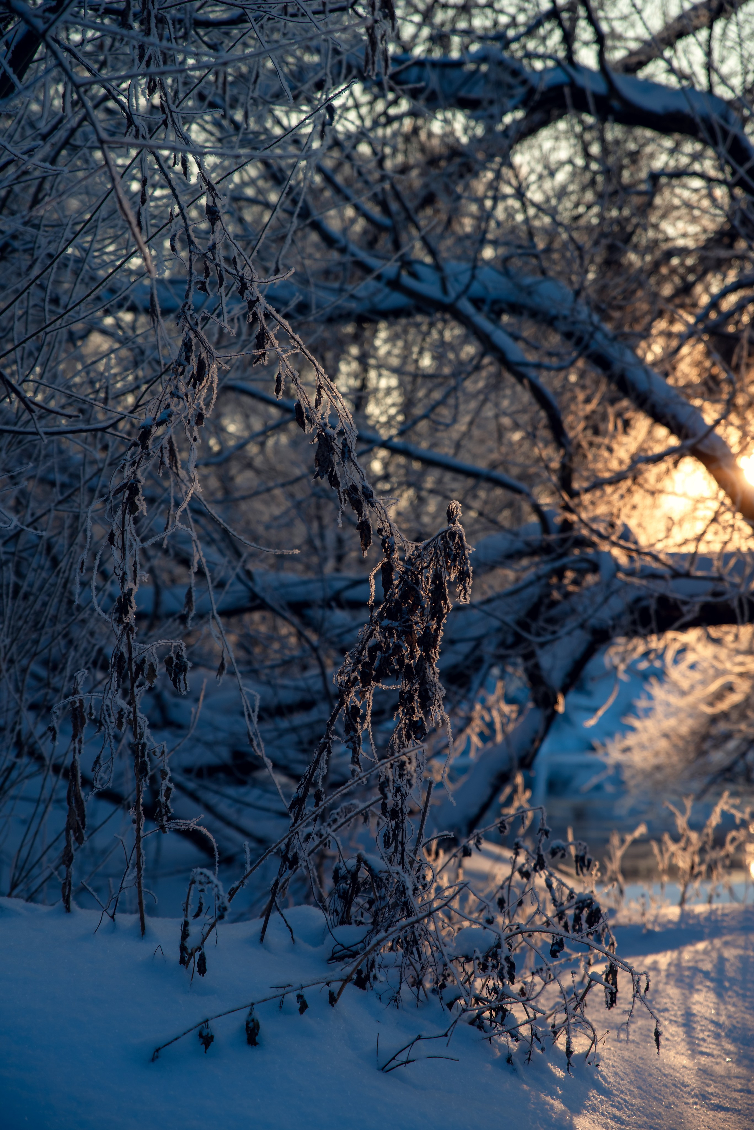 Зимушка зима. Фотограф Крещение Венчание Москва