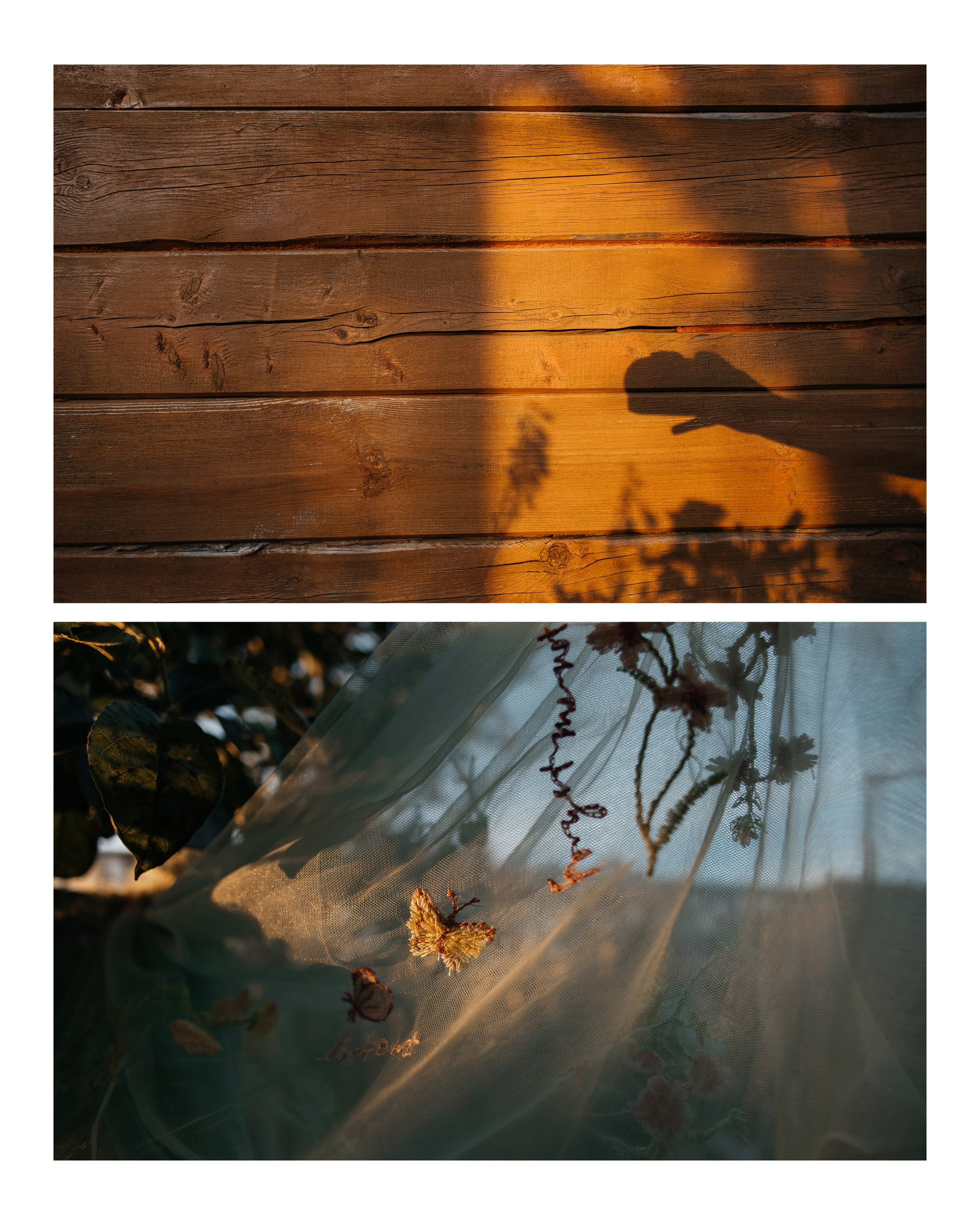 Ульяна. Свадебный и семейный фотограф Юлия Девятайкина