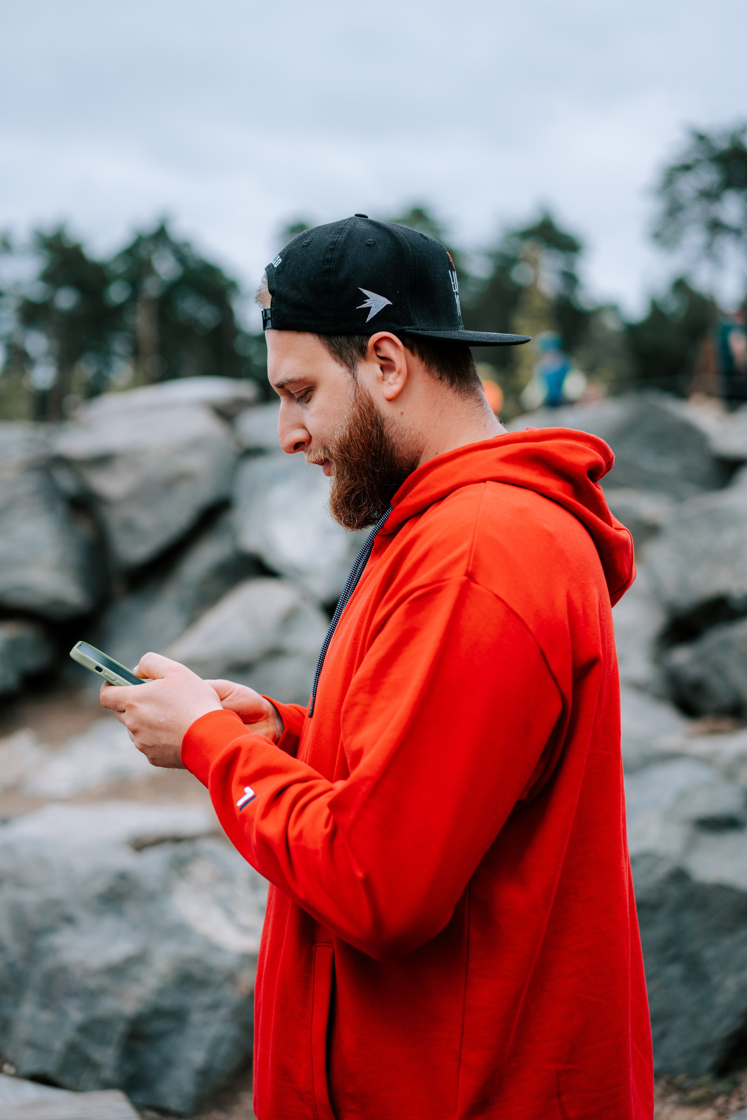 The fabulous forest of Malevich