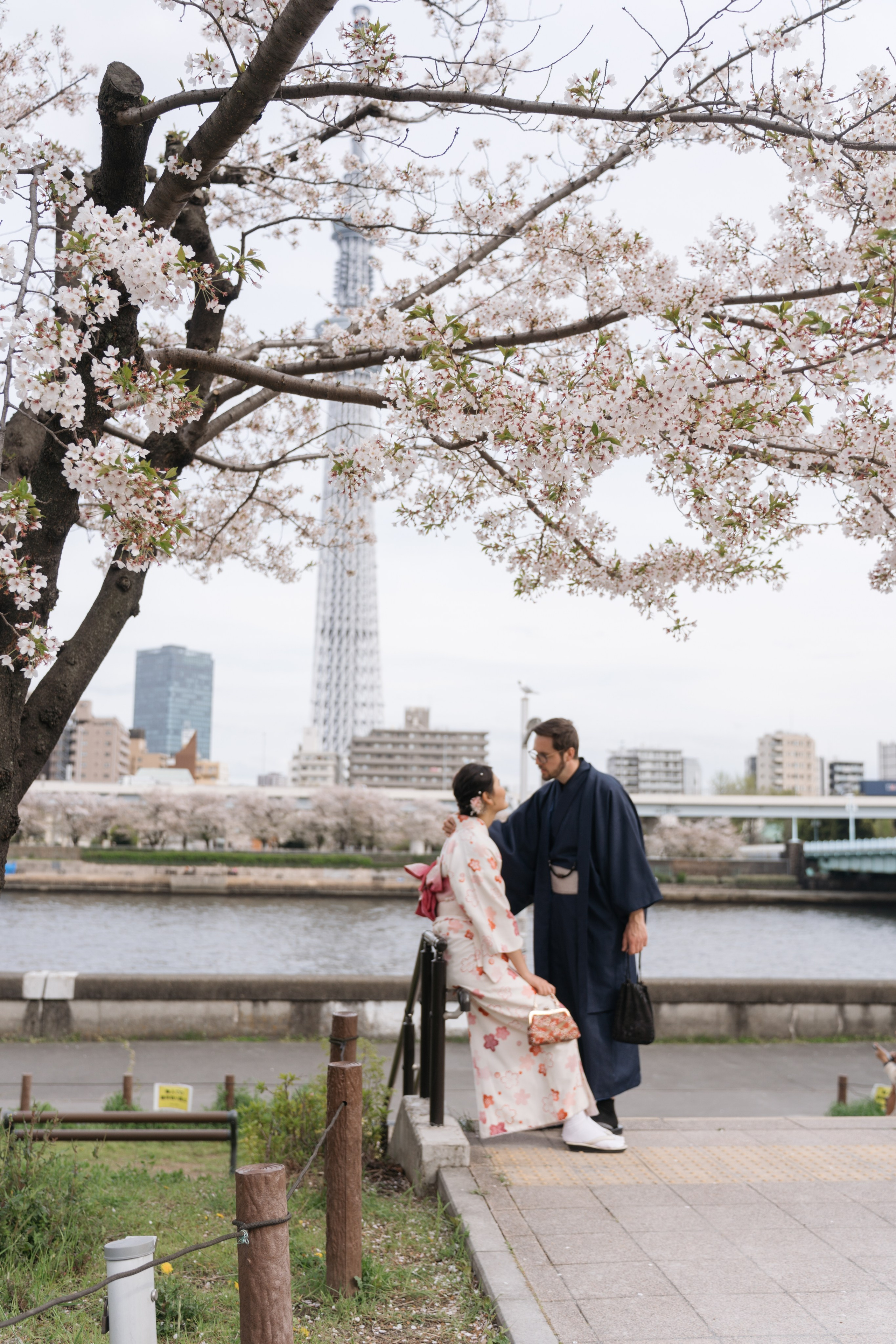 Sakura. Фотограф Алина Диева Москва | Токио