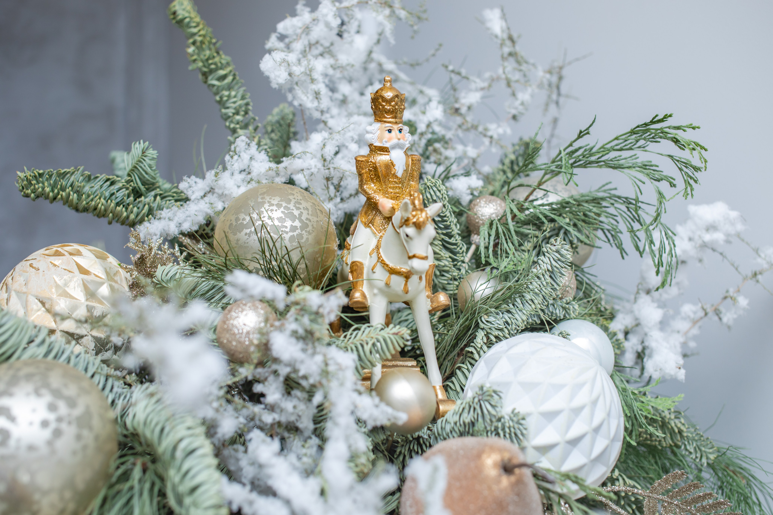 Истории. Фотограф Алина Гашникова