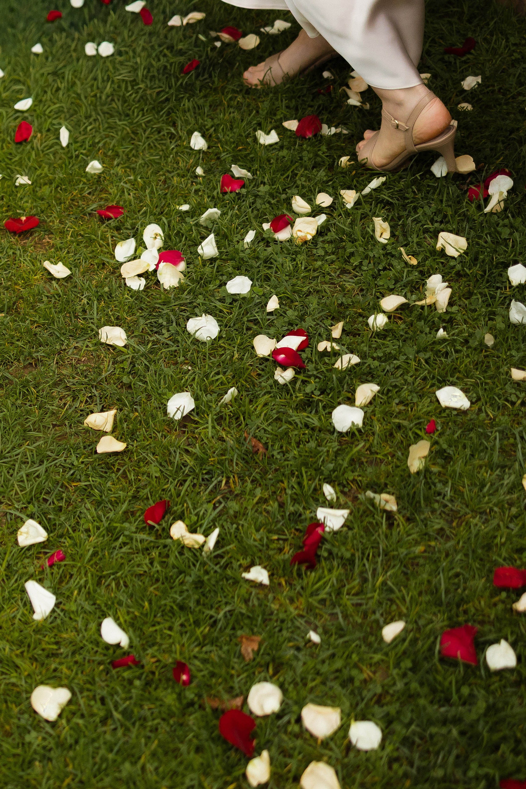 P&V. Свадебный фотограф Лиза Макатович Беларусь Минск