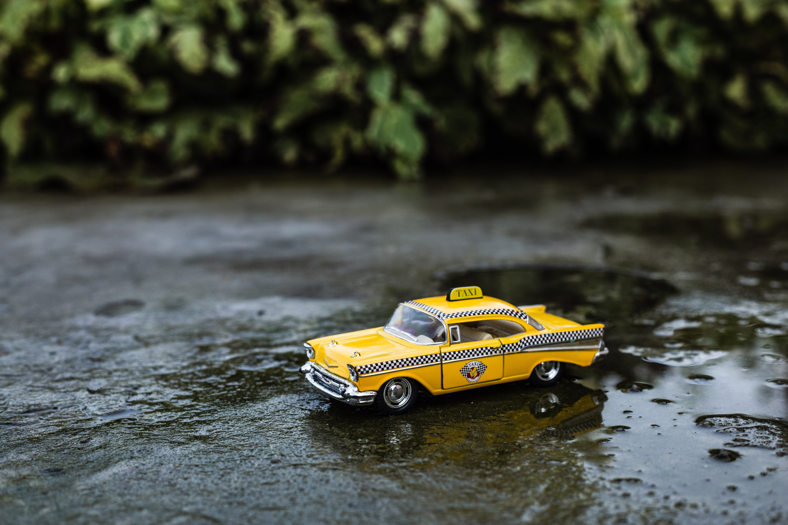 Машины. Фотограф Олеся Кавлакан