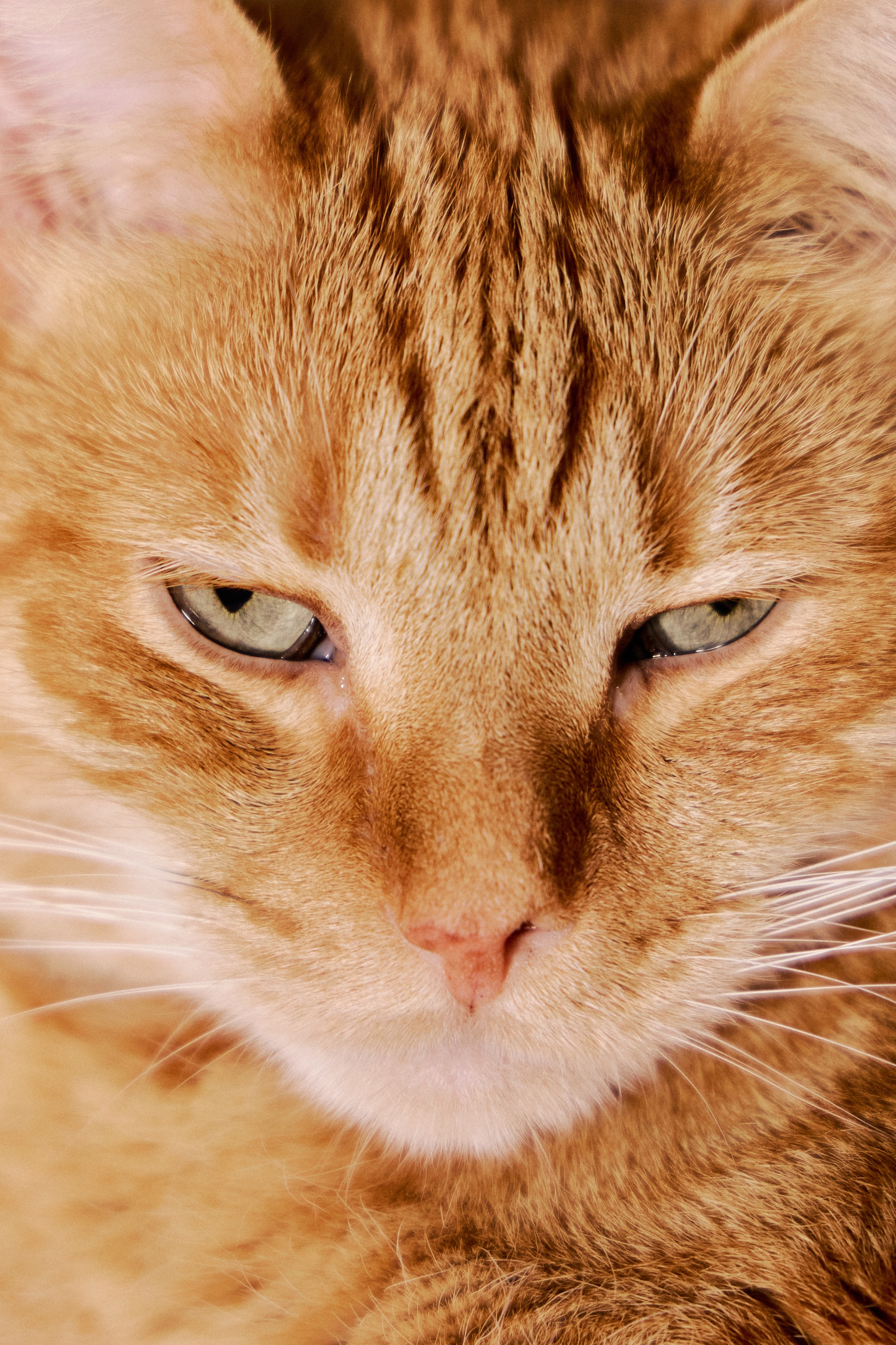 Другое 3. Jorgis — фотограф в Хургаде / обучение фотографии