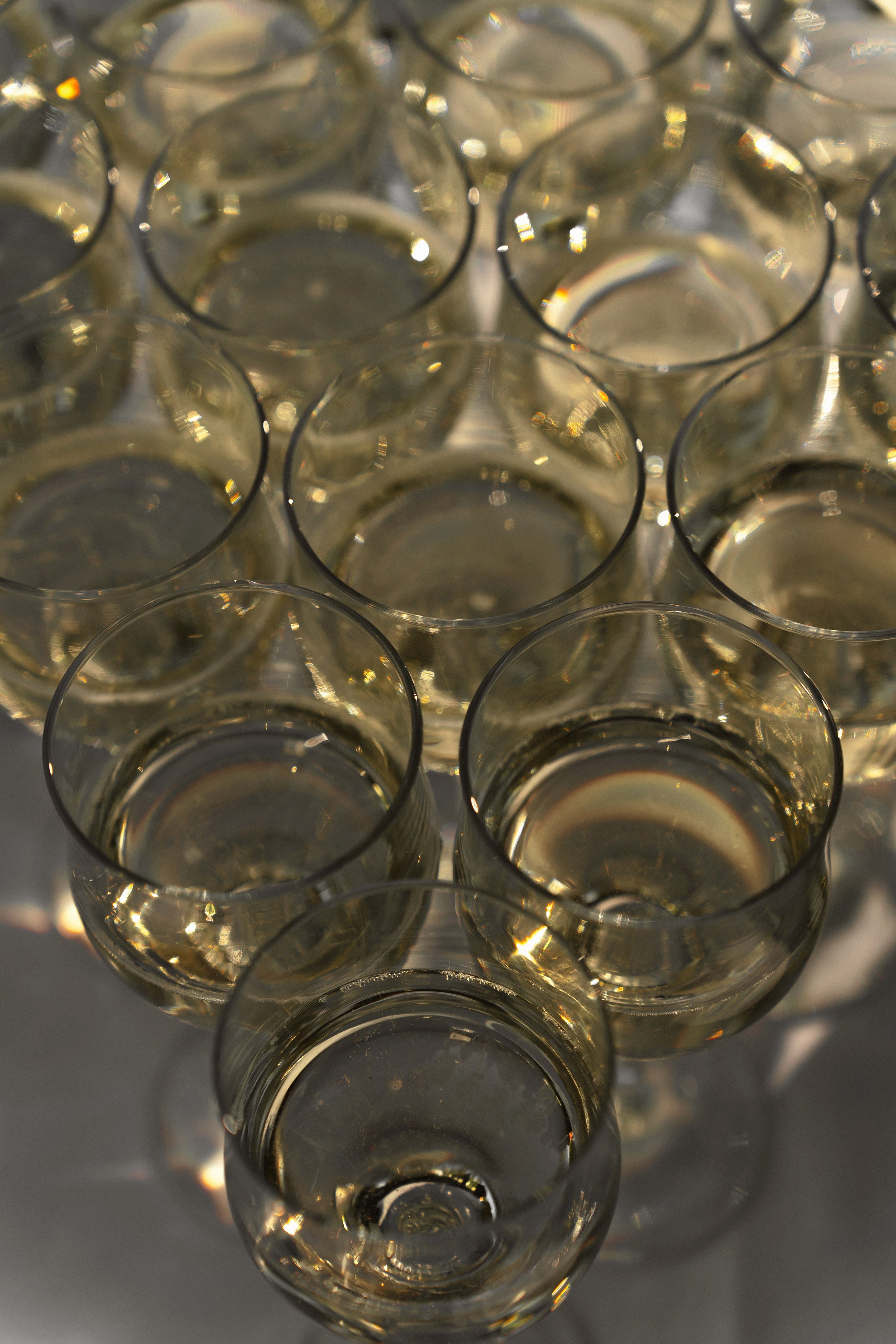 Forest. Wedding. Love | 16.08.2025. Главная