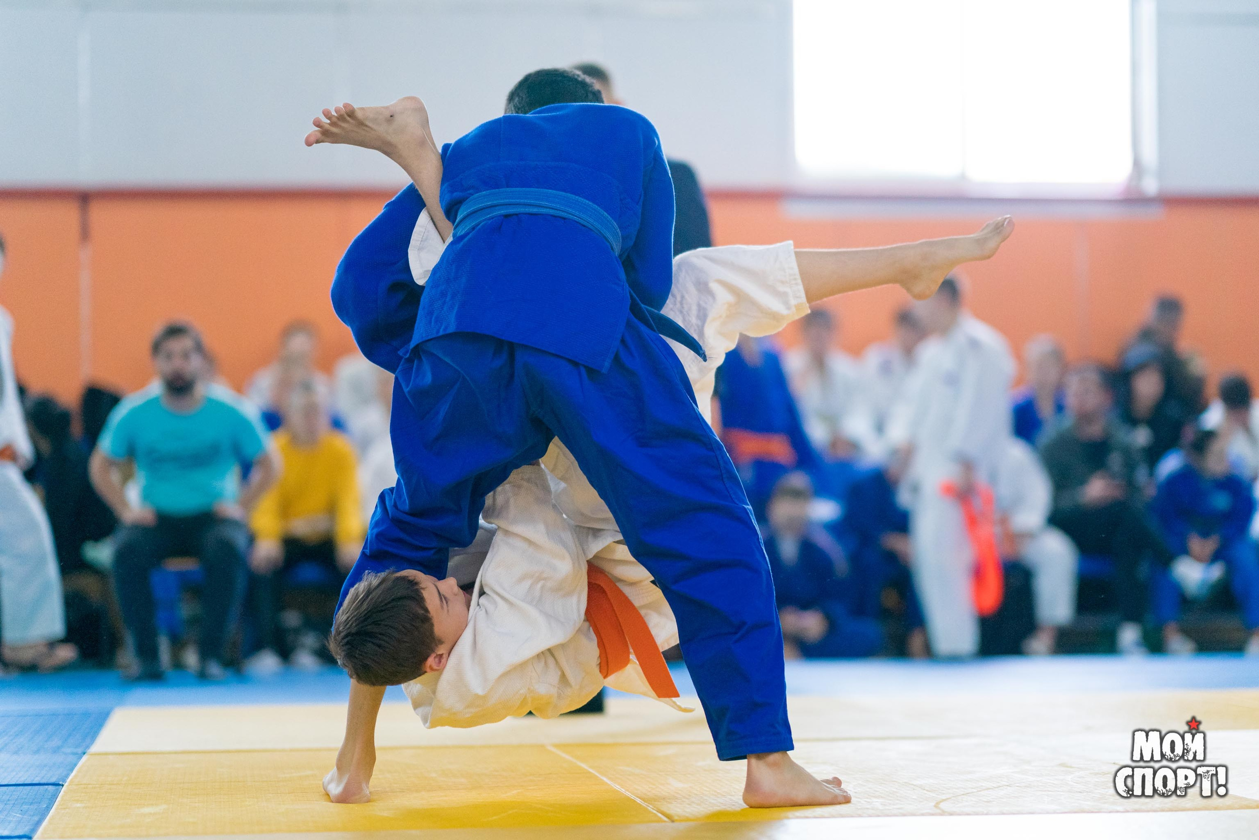 Кубок и первенство РС (Я) по дзюдо. Студия «Мой Спорт!» — все о спорте в Якутии