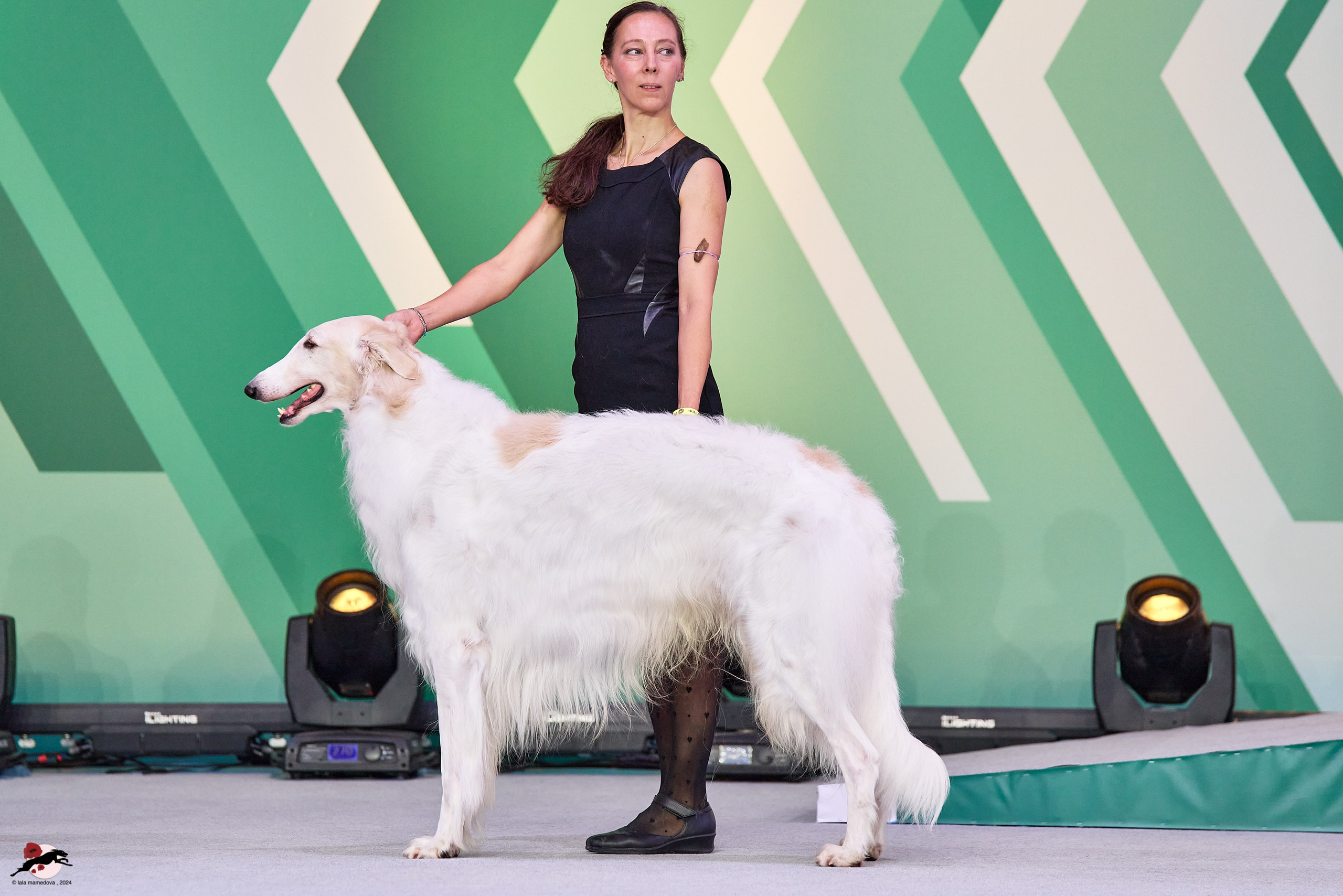 17.11.2024 «ЕВРАЗИЯ. КУБОК СНГ 2024»