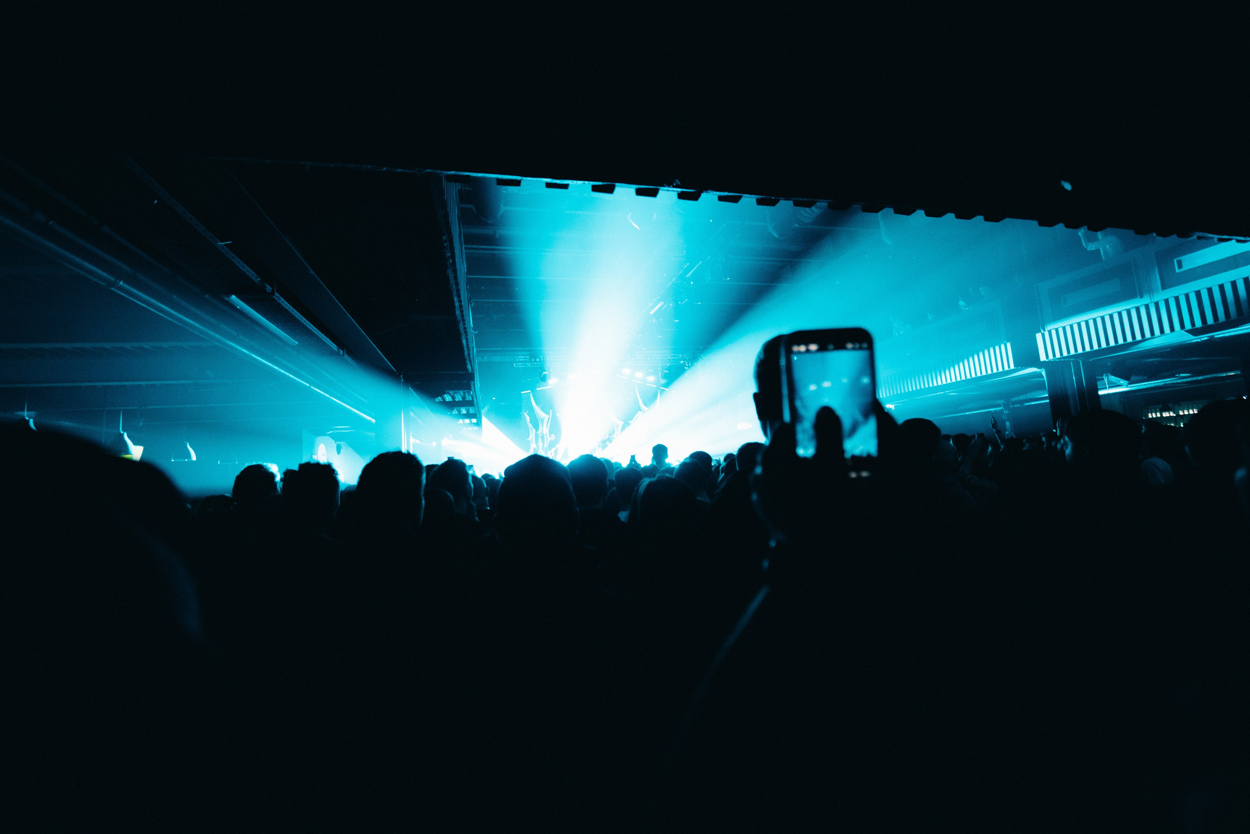 WILDWAYS. PASHAHARCE PHOTOGRAPHER & VIDEOGRAPHER