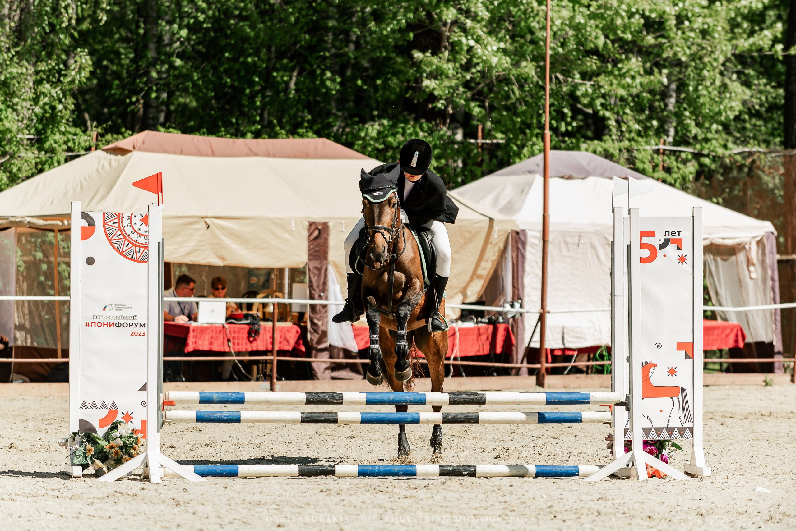 #ПОНИФОРУМ 2024. Конный фотограф Куракина Дарья • Фотосессии с лошадьми
