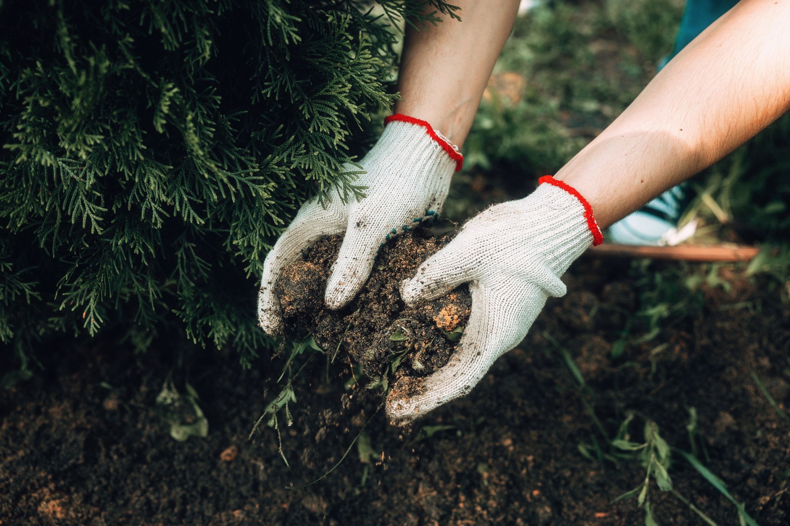 Благотворительная репортажная фотосъемка. Свадебный и репортажный фотограф в Воронеже Роман Янко