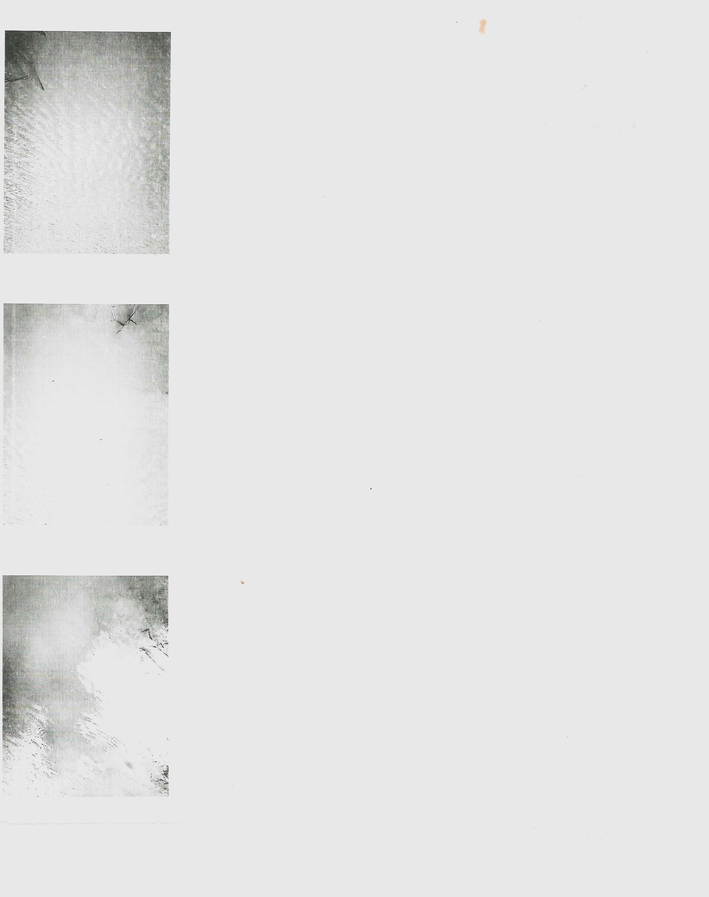 Полина Ефременко | Впереди огромное будущее. Private image