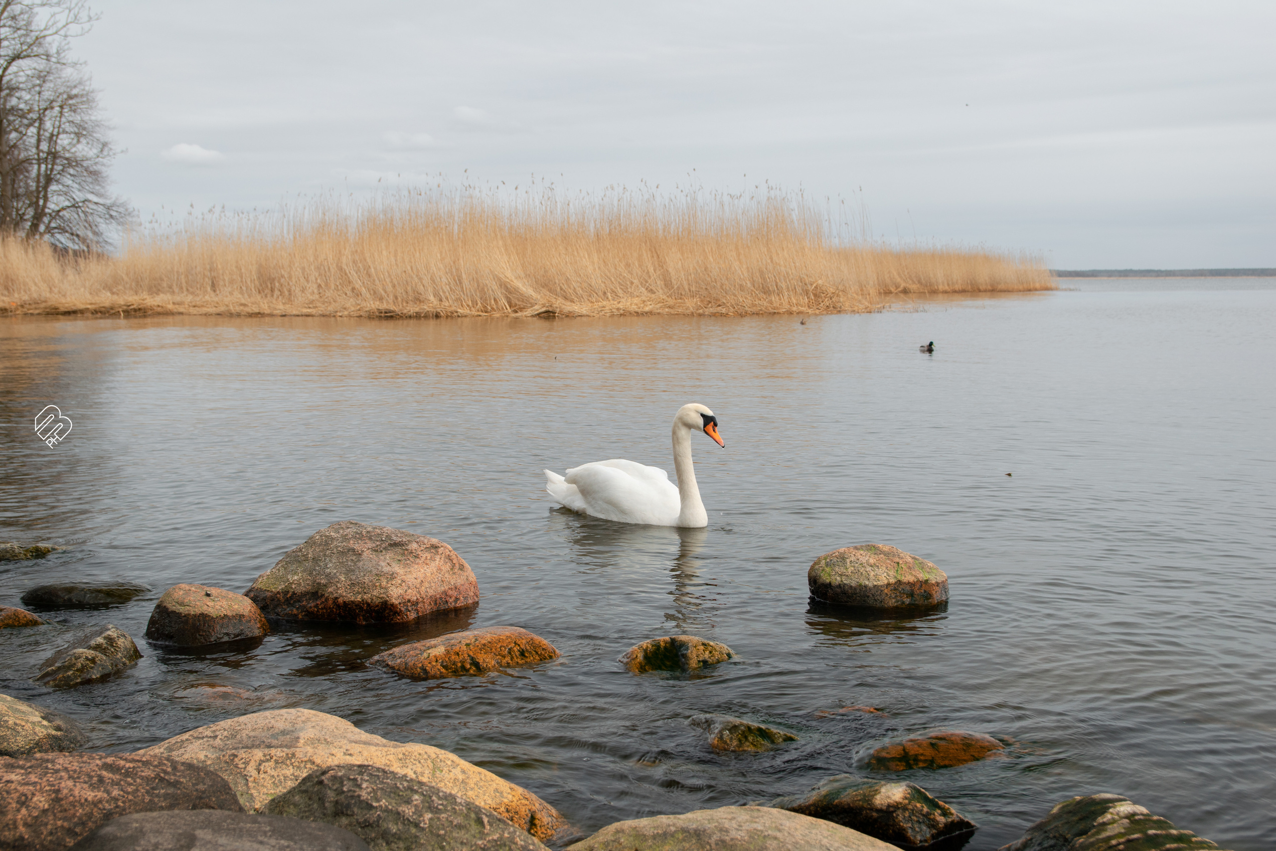 Поездка в Калининград. Фотограф людей и животных в Санкт-Петербурге Марина Бурмистрова