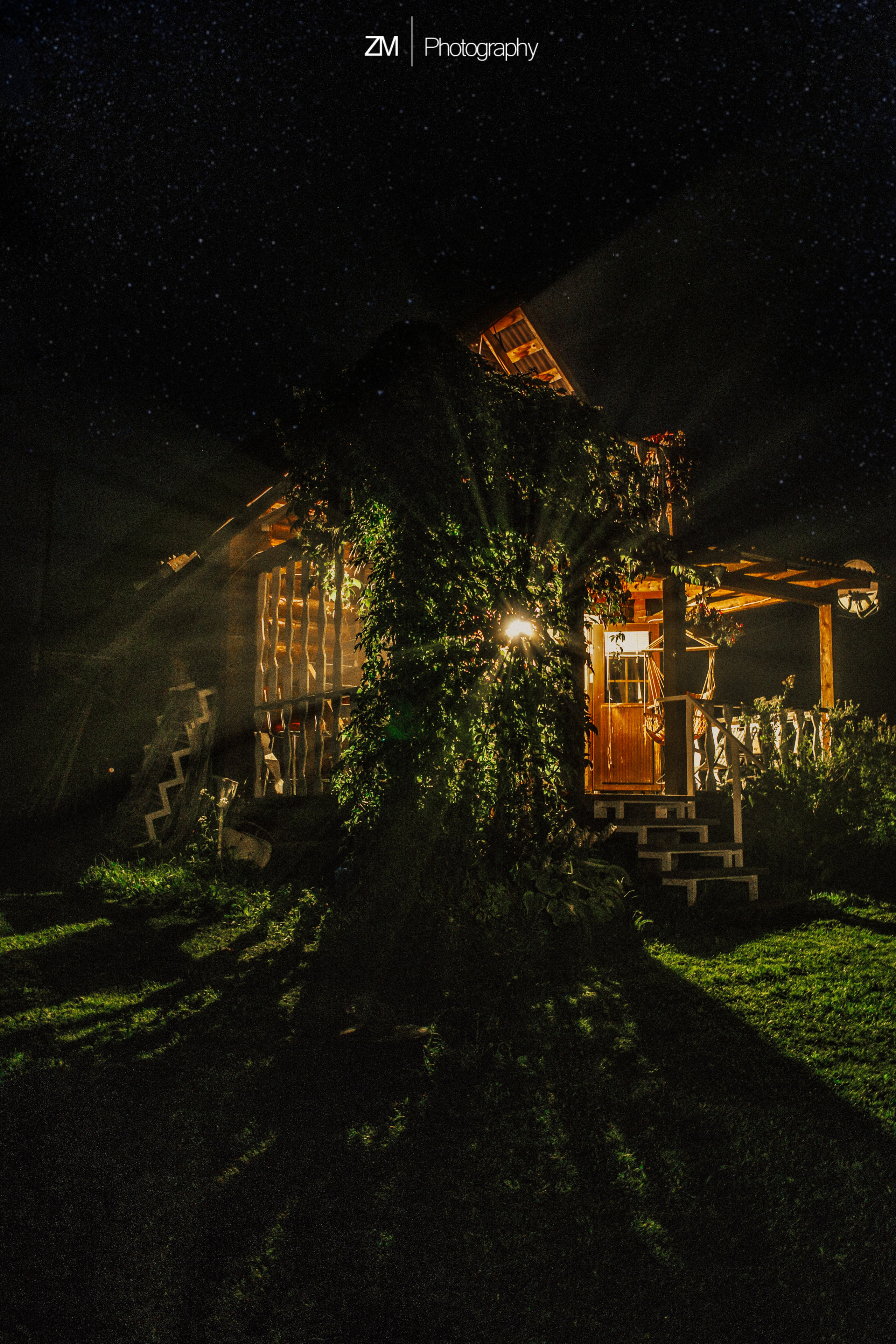 Туманные поля. Фотограф людей и животных в Санкт-Петербурге Марина Бурмистрова