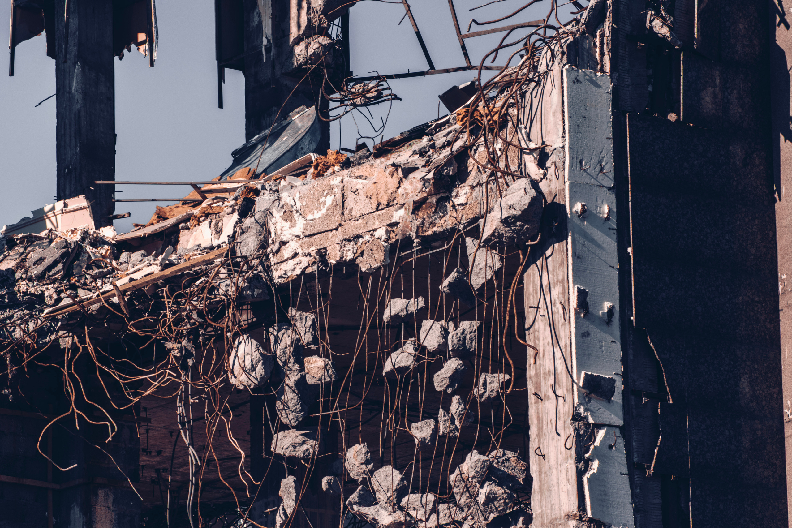 Весна 2019. Фотограф людей и животных в Санкт-Петербурге Марина Бурмистрова