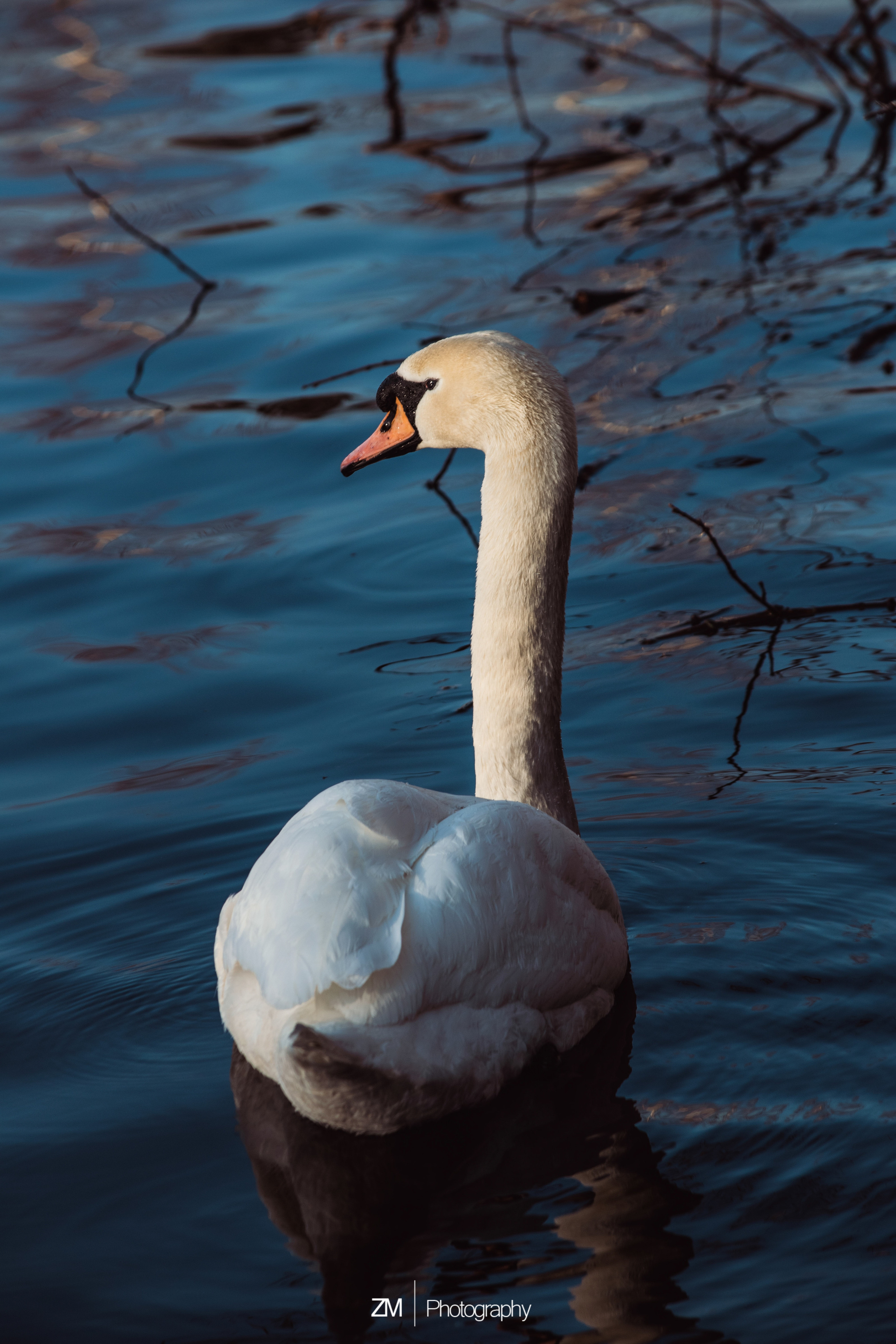 Весна 2019. Фотограф людей и животных в Санкт-Петербурге Марина Бурмистрова