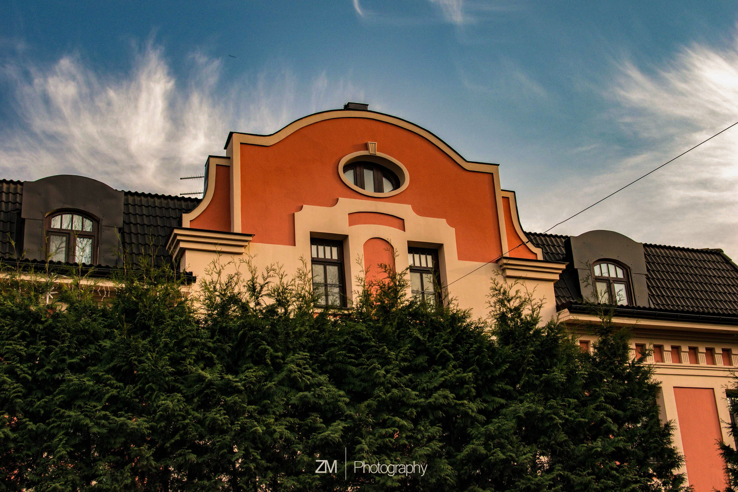 Весна 2019. Фотограф людей и животных в Санкт-Петербурге Марина Бурмистрова