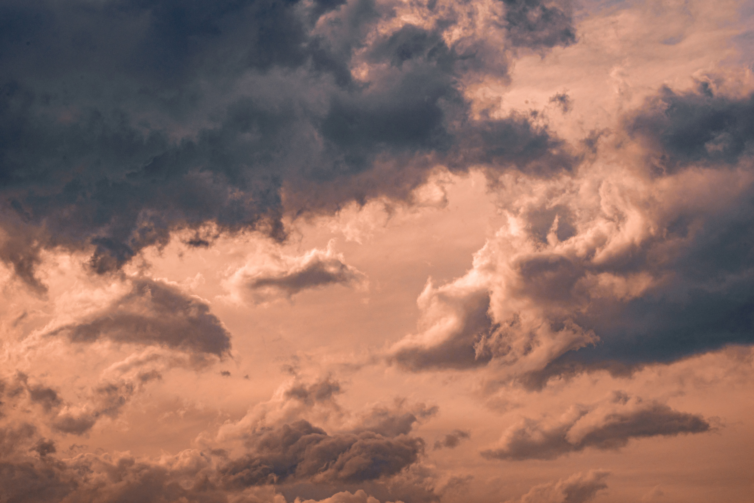 Весна 2019. Фотограф людей и животных в Санкт-Петербурге Марина Бурмистрова