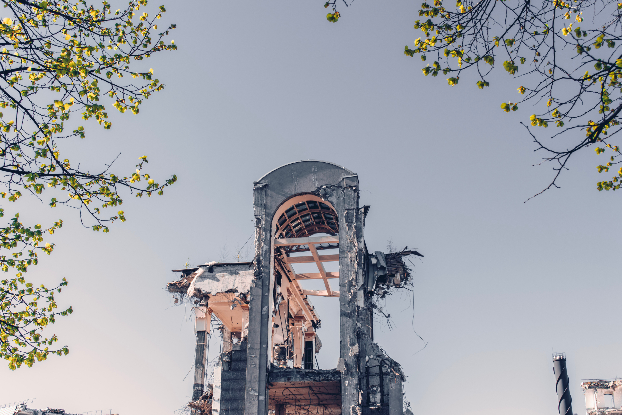 Весна 2019. Фотограф людей и животных в Санкт-Петербурге Марина Бурмистрова