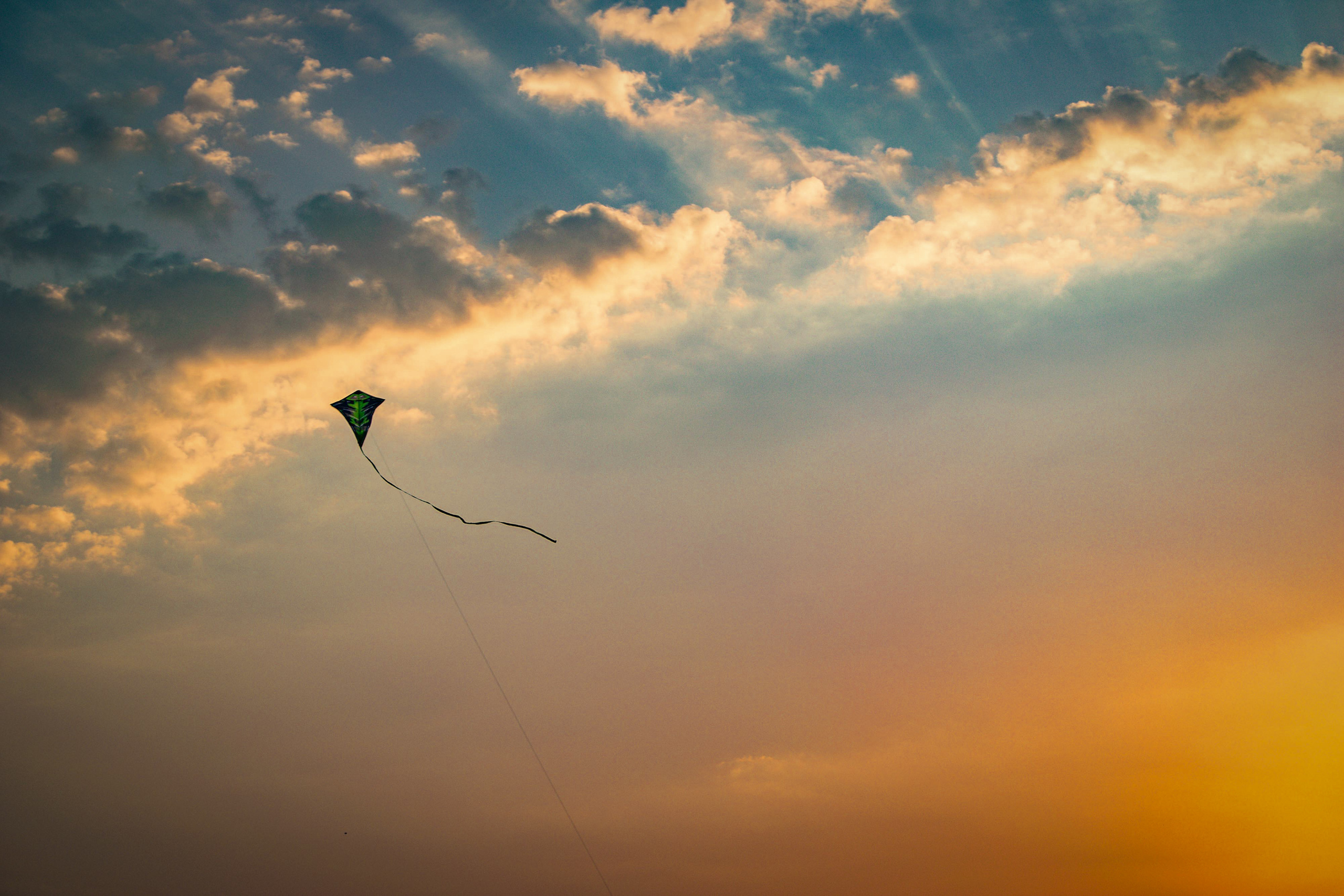 Весна 2019. Фотограф людей и животных в Санкт-Петербурге Марина Бурмистрова