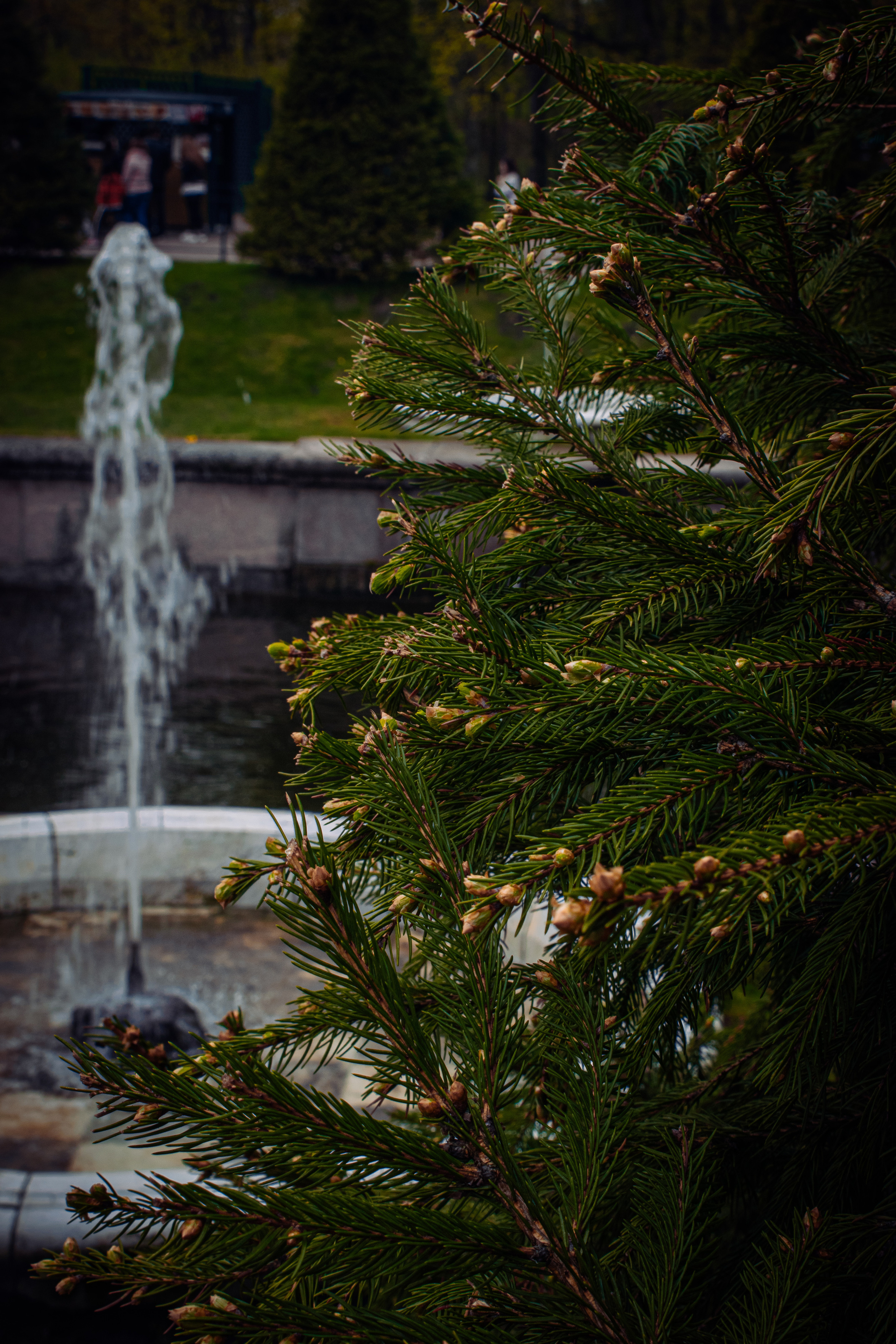 Весна 2019. Фотограф людей и животных в Санкт-Петербурге Марина Бурмистрова
