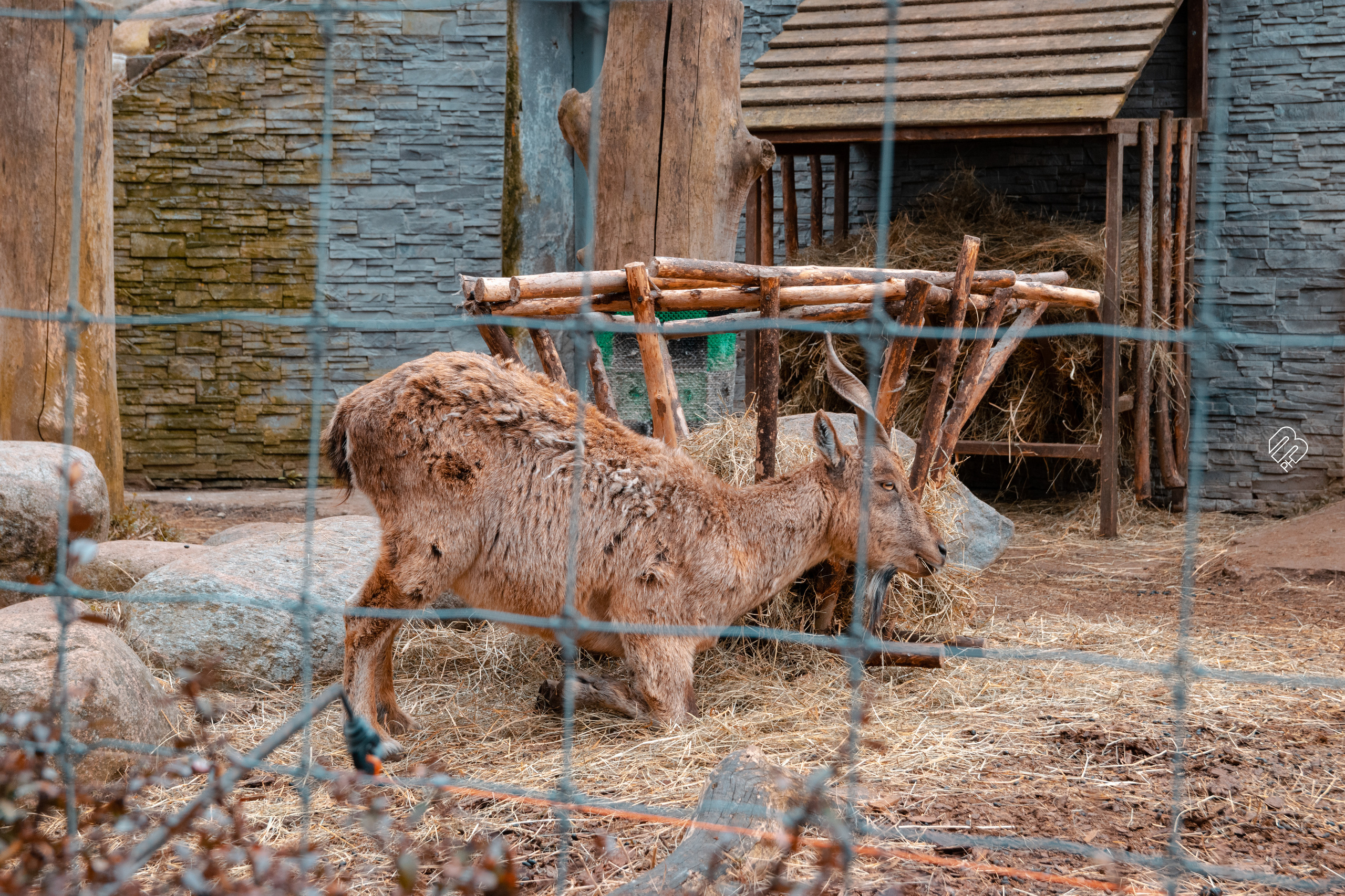 Поездка в Калининград. Фотограф людей и животных в Санкт-Петербурге Марина Бурмистрова