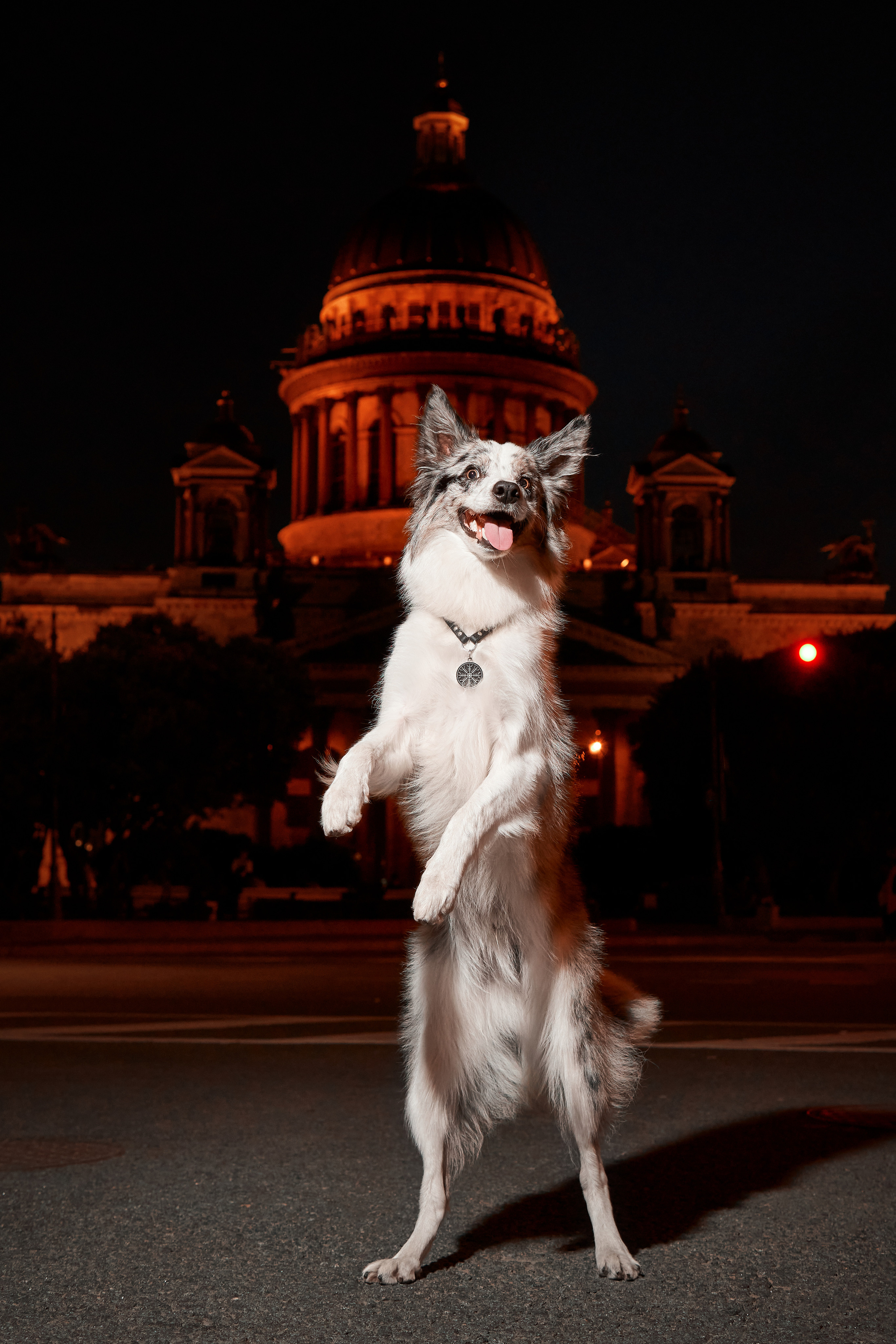 Анималистика. Выездные съемки. Фотограф людей и животных в Санкт-Петербурге Марина Бурмистрова