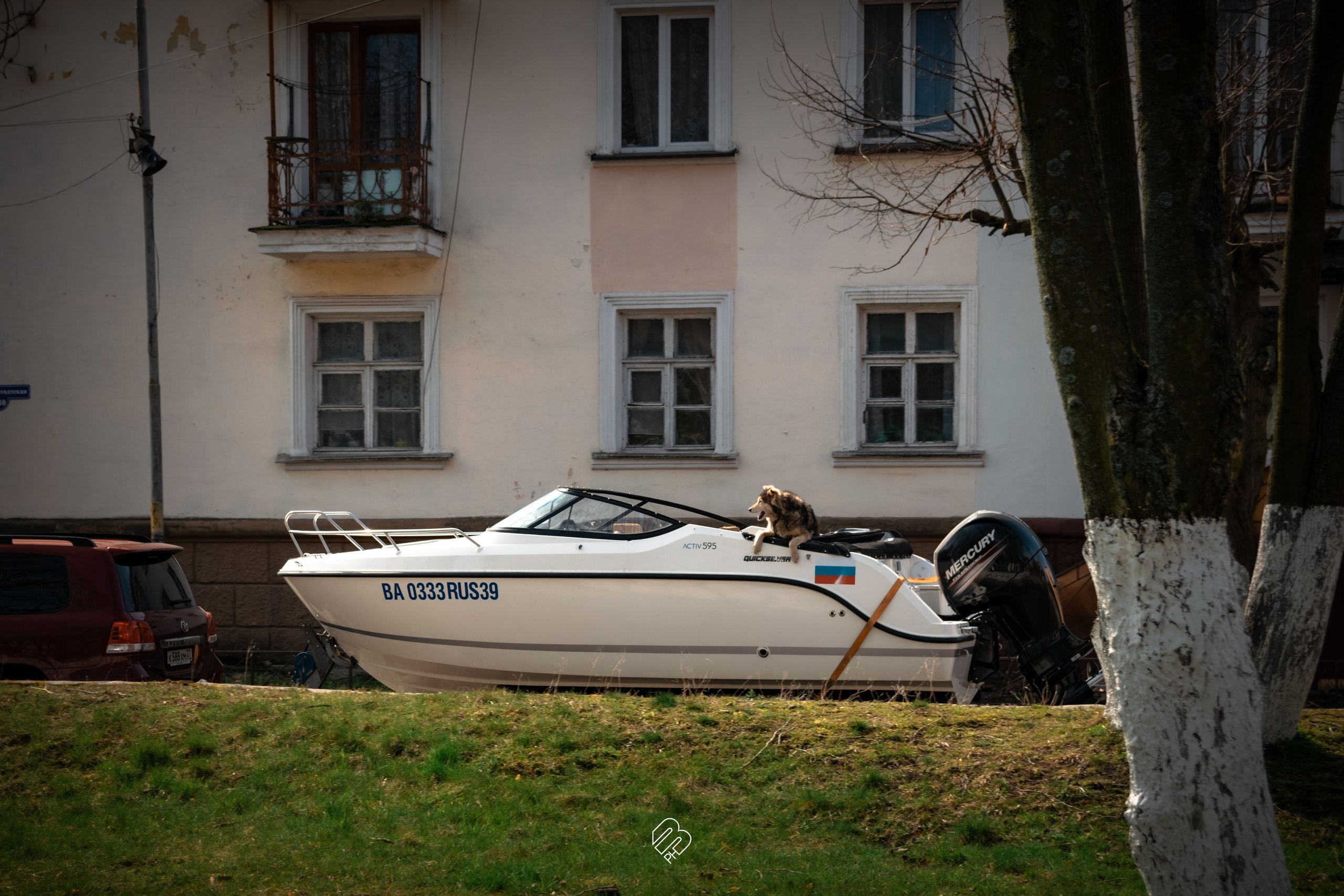Поездка в Калининград. Фотограф людей и животных в Санкт-Петербурге Марина Бурмистрова