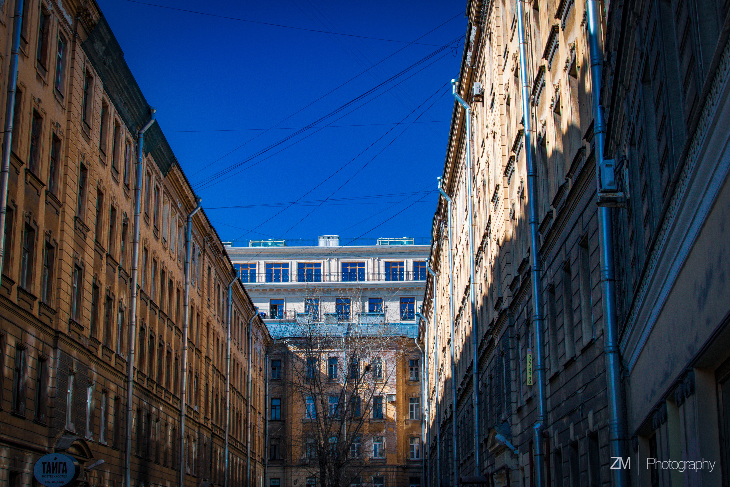 Весна 2019. Фотограф людей и животных в Санкт-Петербурге Марина Бурмистрова