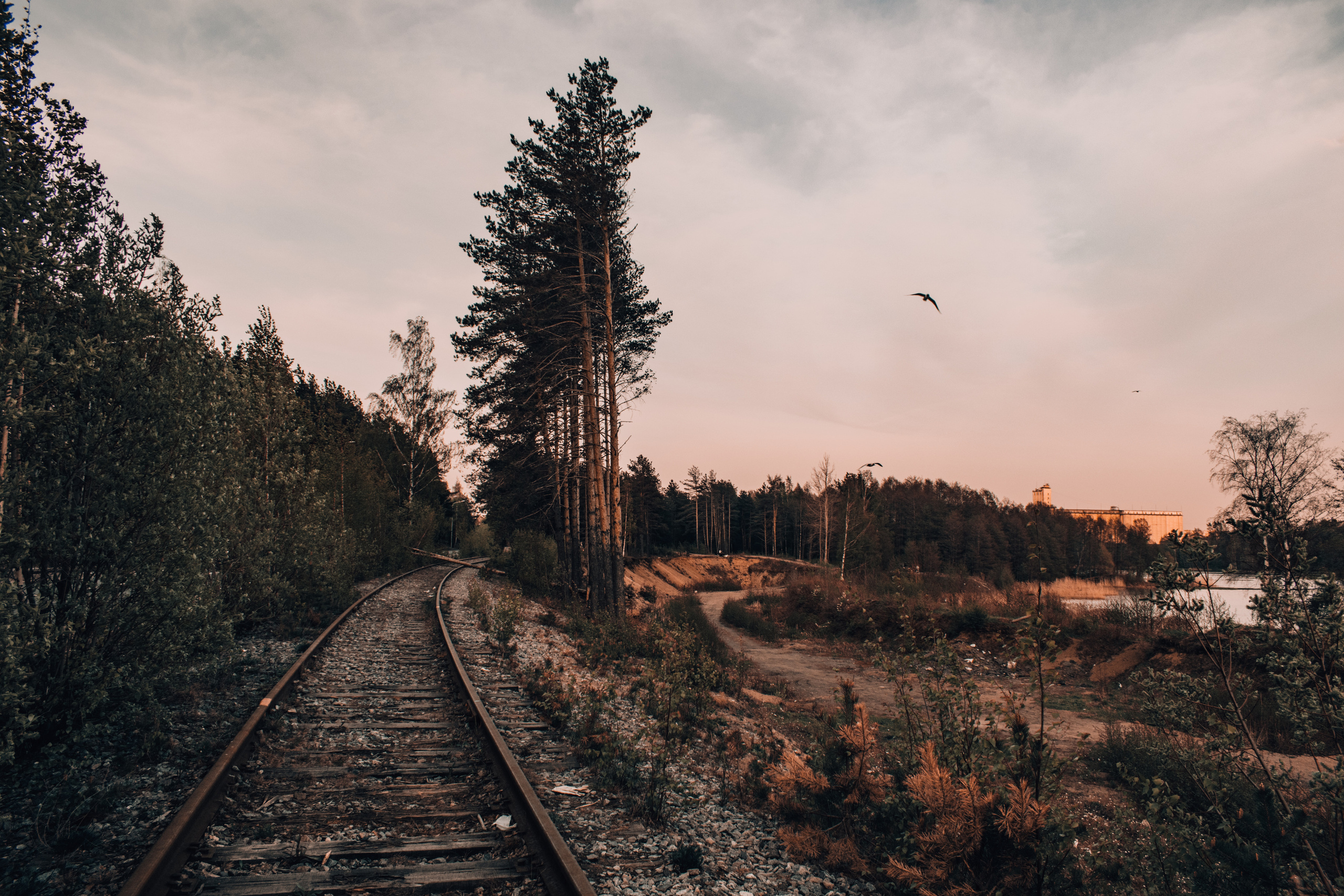 Весна 2019. Фотограф людей и животных в Санкт-Петербурге Марина Бурмистрова