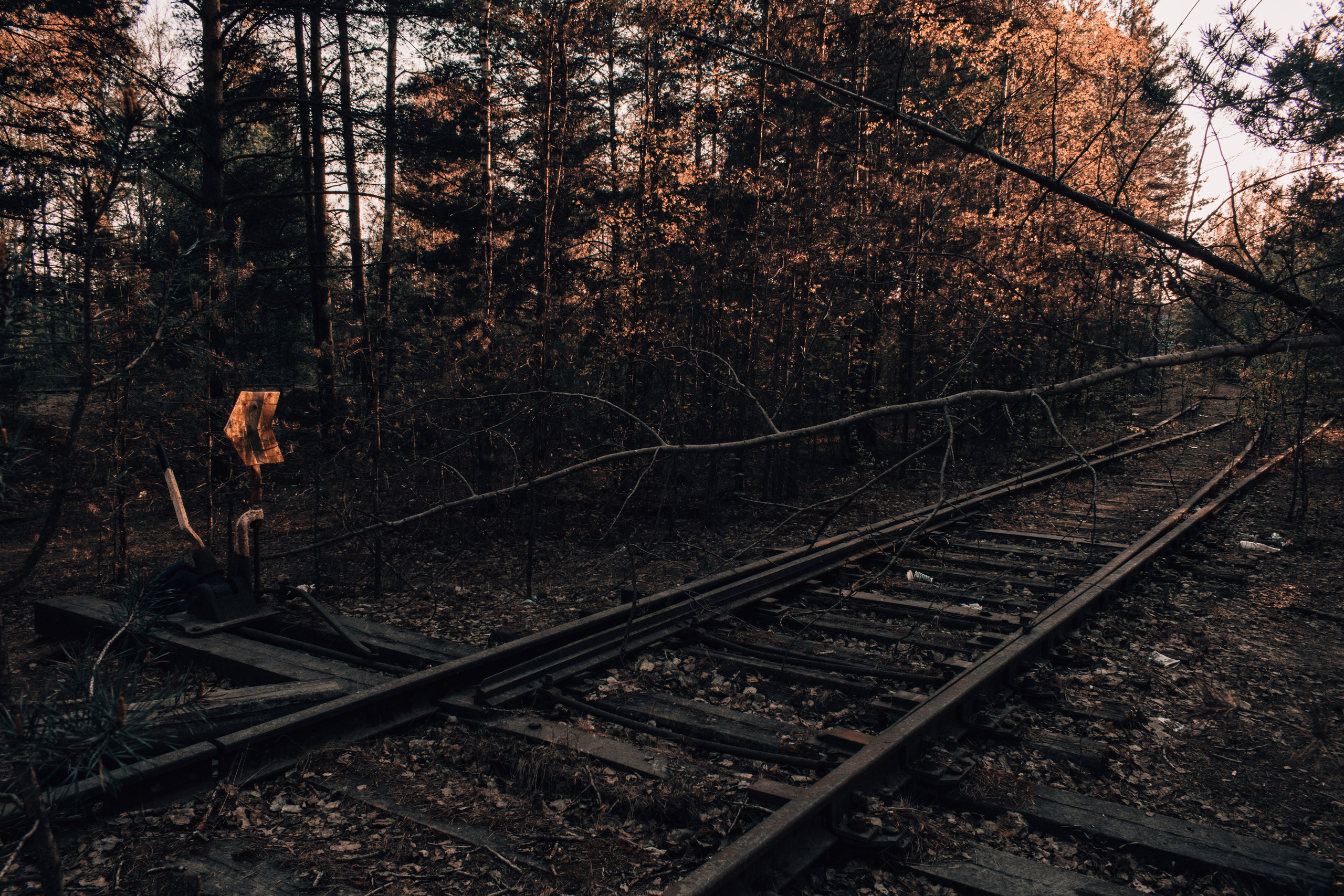 Весна 2019. Фотограф людей и животных в Санкт-Петербурге Марина Бурмистрова