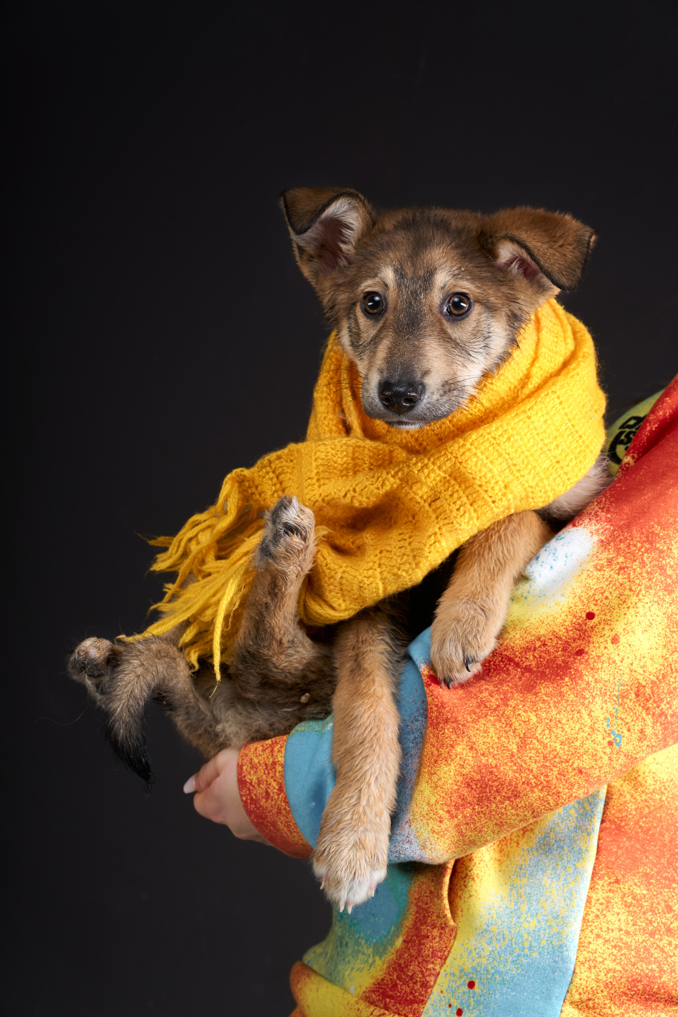 Анималистика. Студийные съемки. Фотограф людей и животных в Санкт-Петербурге Марина Бурмистрова