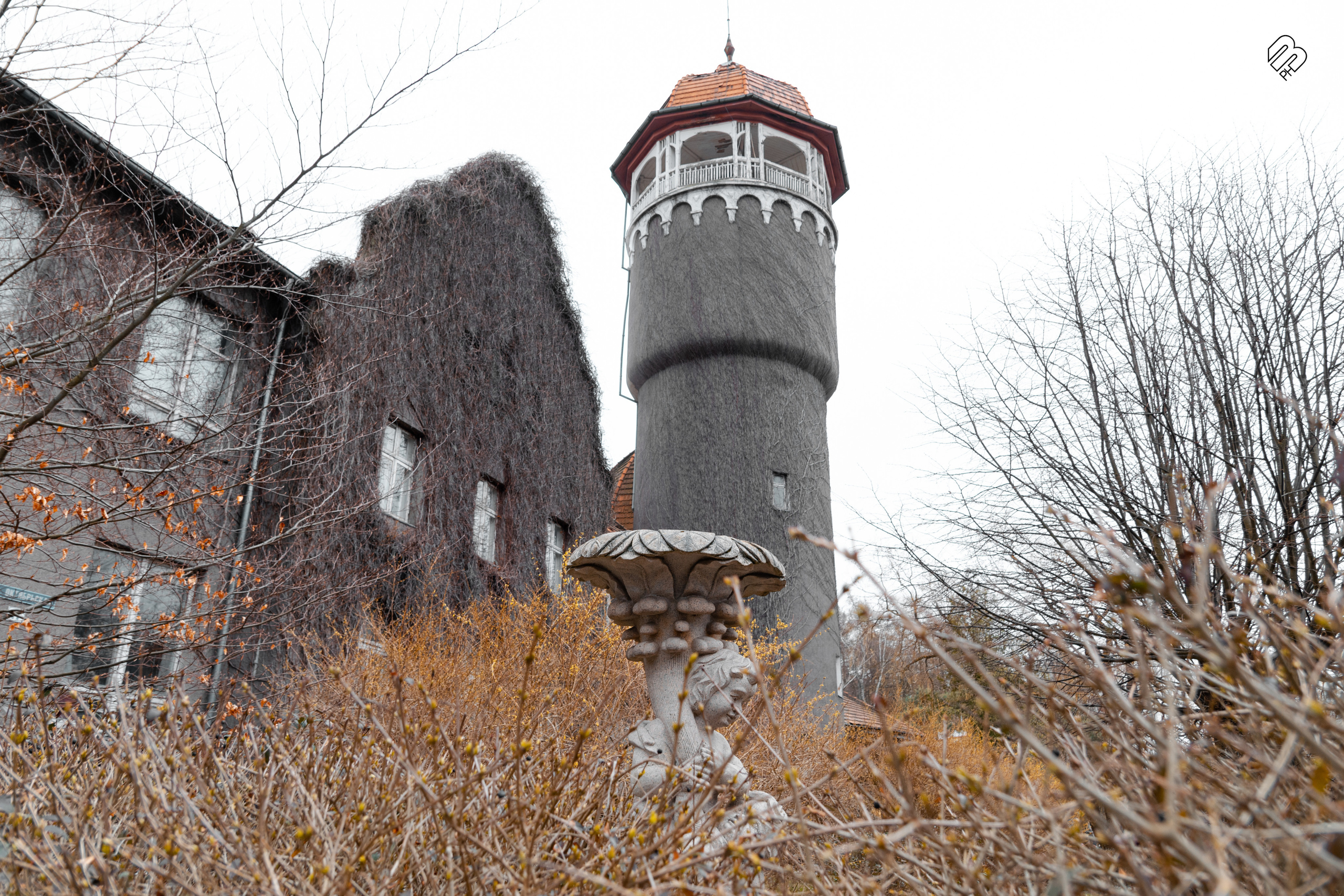 Поездка в Калининград. Фотограф людей и животных в Санкт-Петербурге Марина Бурмистрова