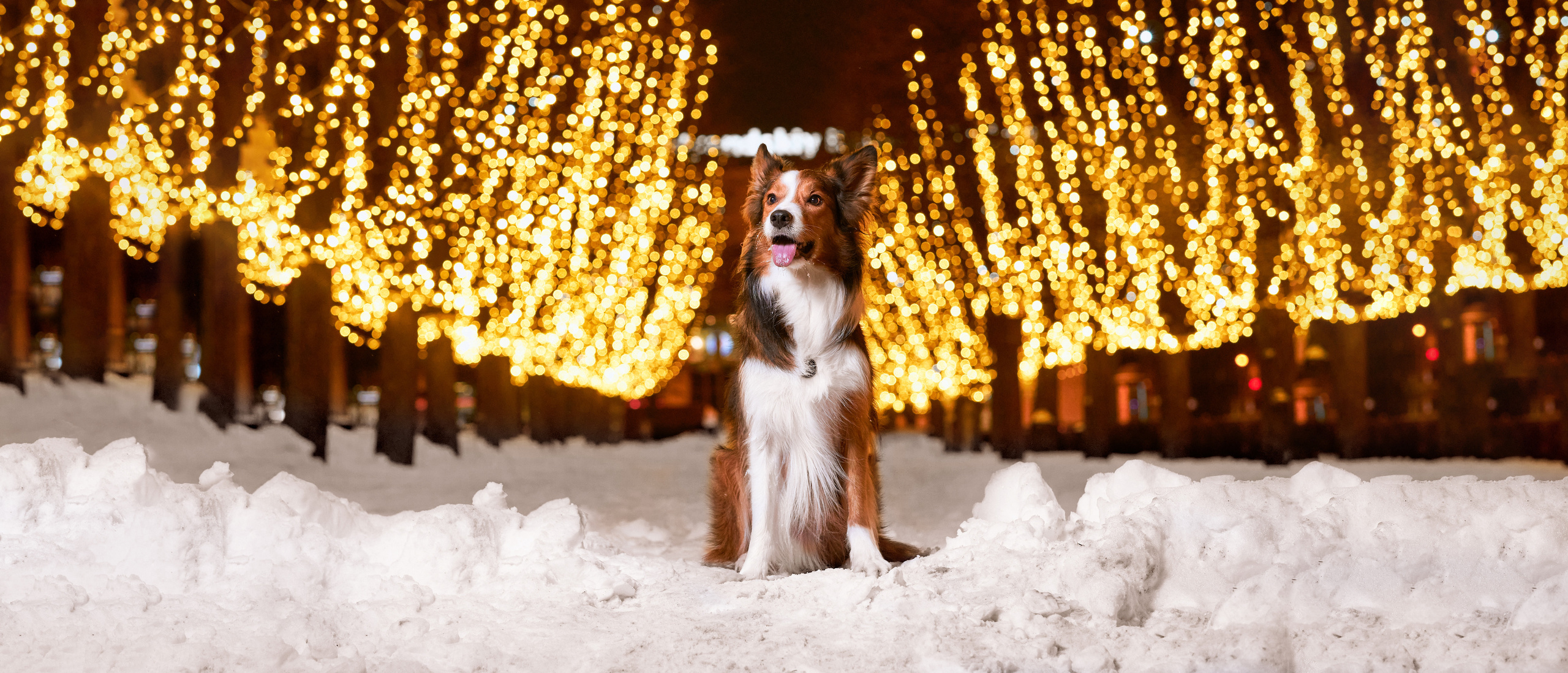 Фотограф людей и животных в Санкт-Петербурге Марина Бурмистрова