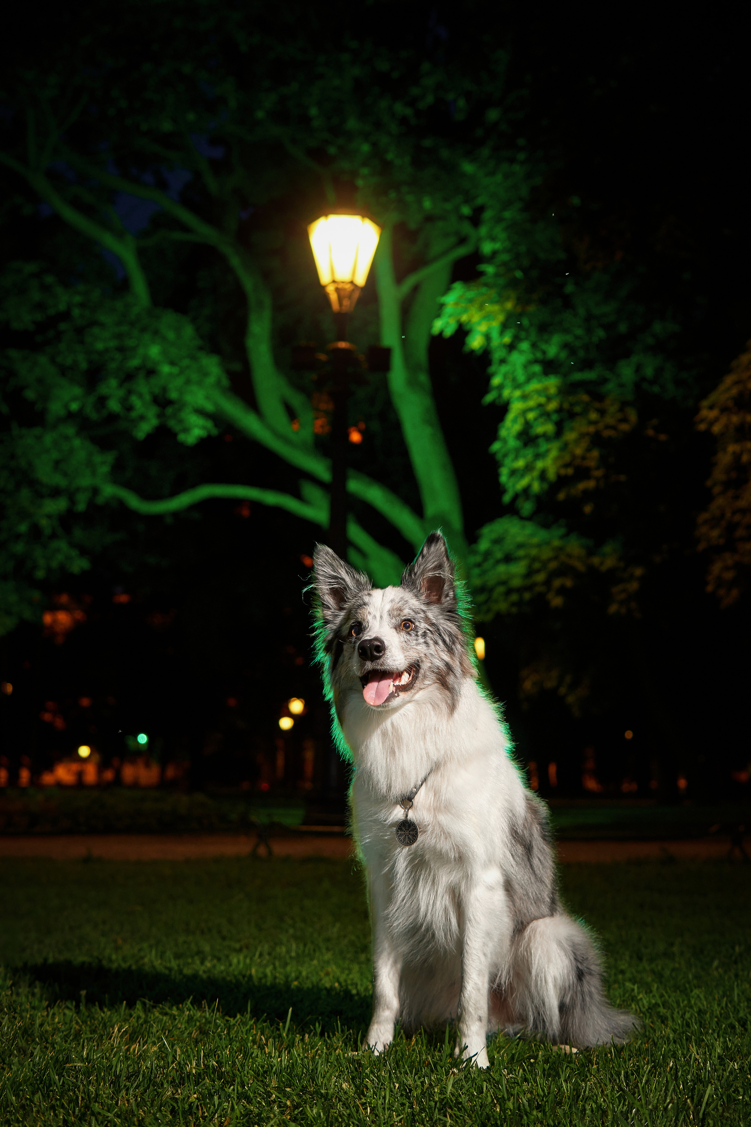 Анималистика. Выездные съемки. Фотограф людей и животных в Санкт-Петербурге Марина Бурмистрова