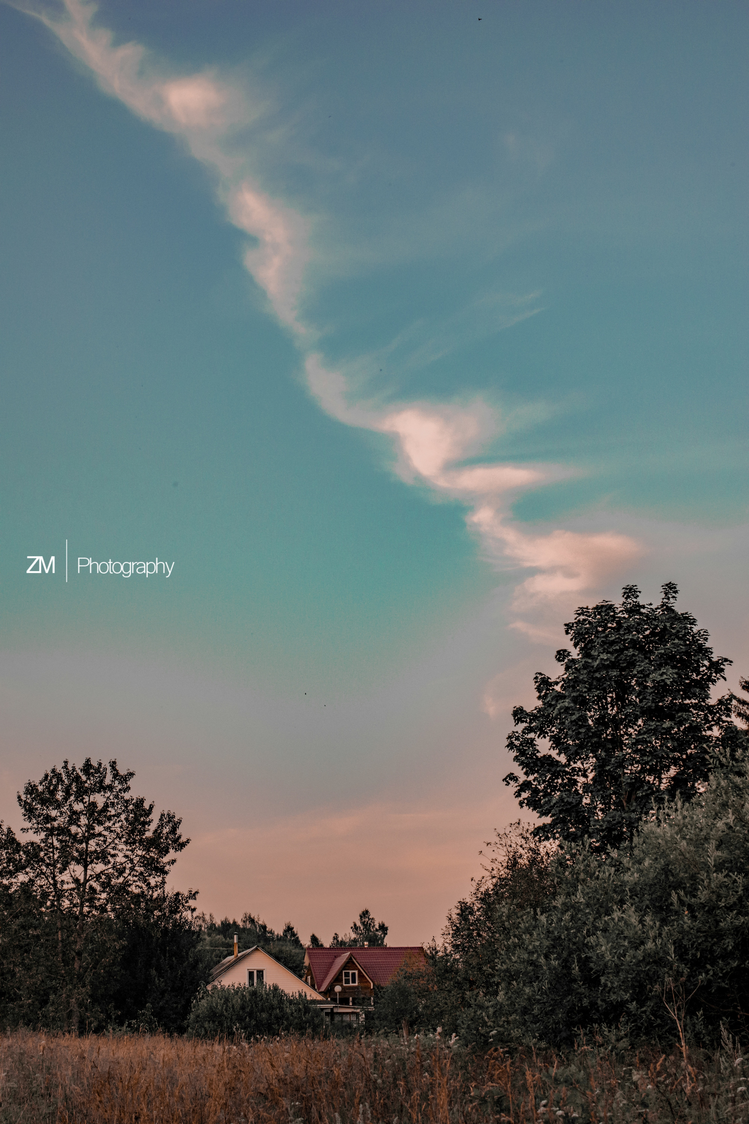 Туманные поля. Фотограф людей и животных в Санкт-Петербурге Марина Бурмистрова