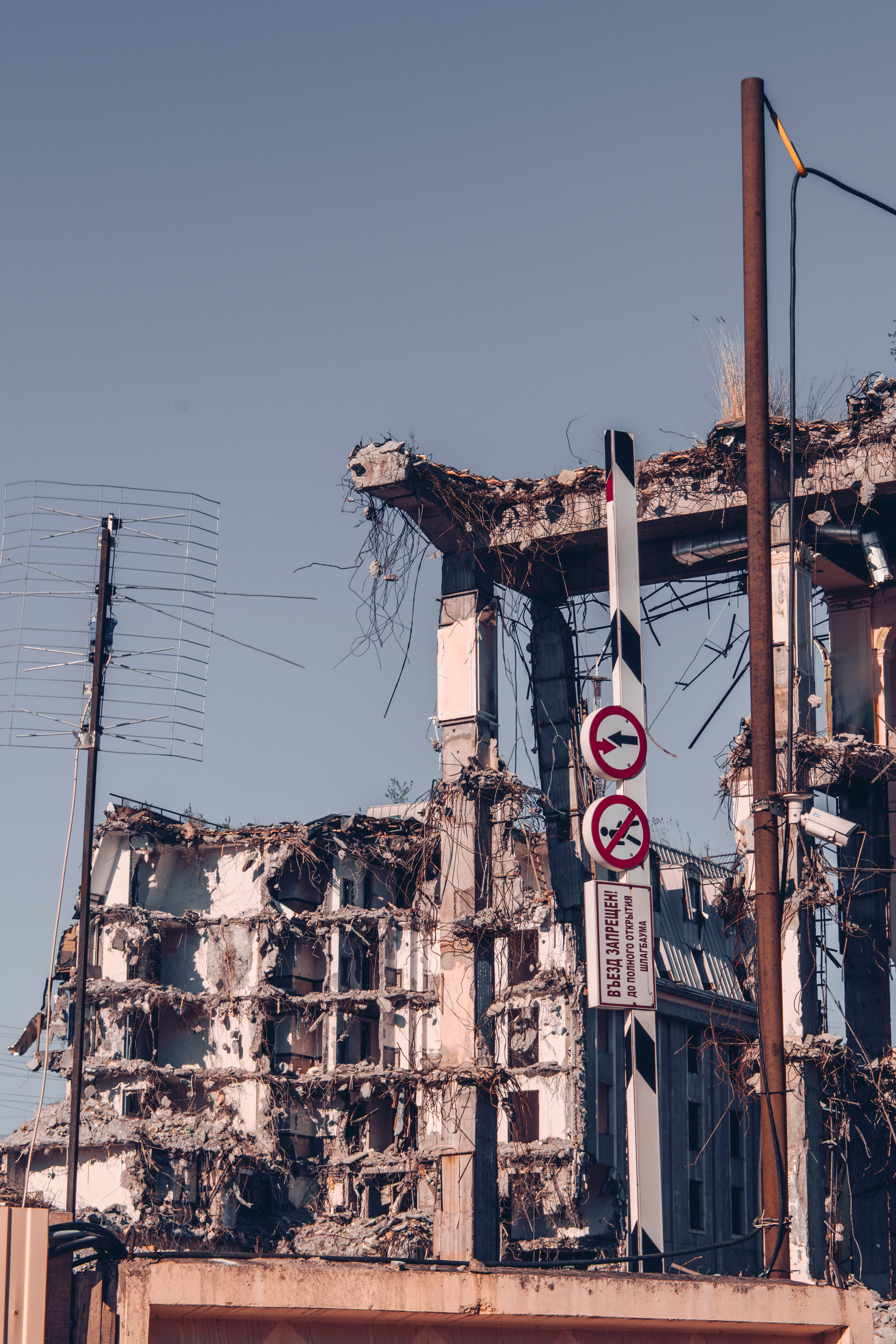 Весна 2019. Фотограф людей и животных в Санкт-Петербурге Марина Бурмистрова