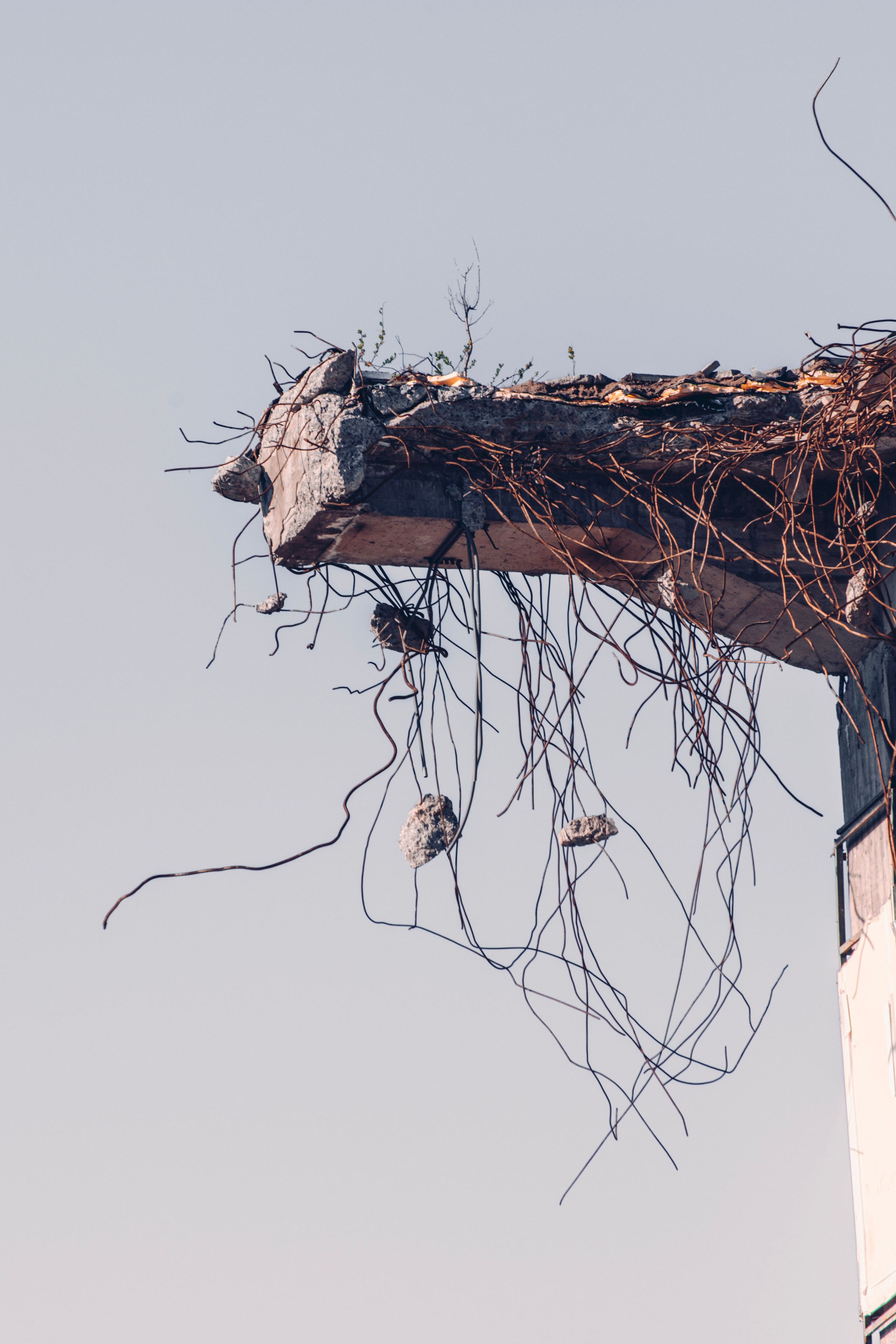 Весна 2019. Фотограф людей и животных в Санкт-Петербурге Марина Бурмистрова