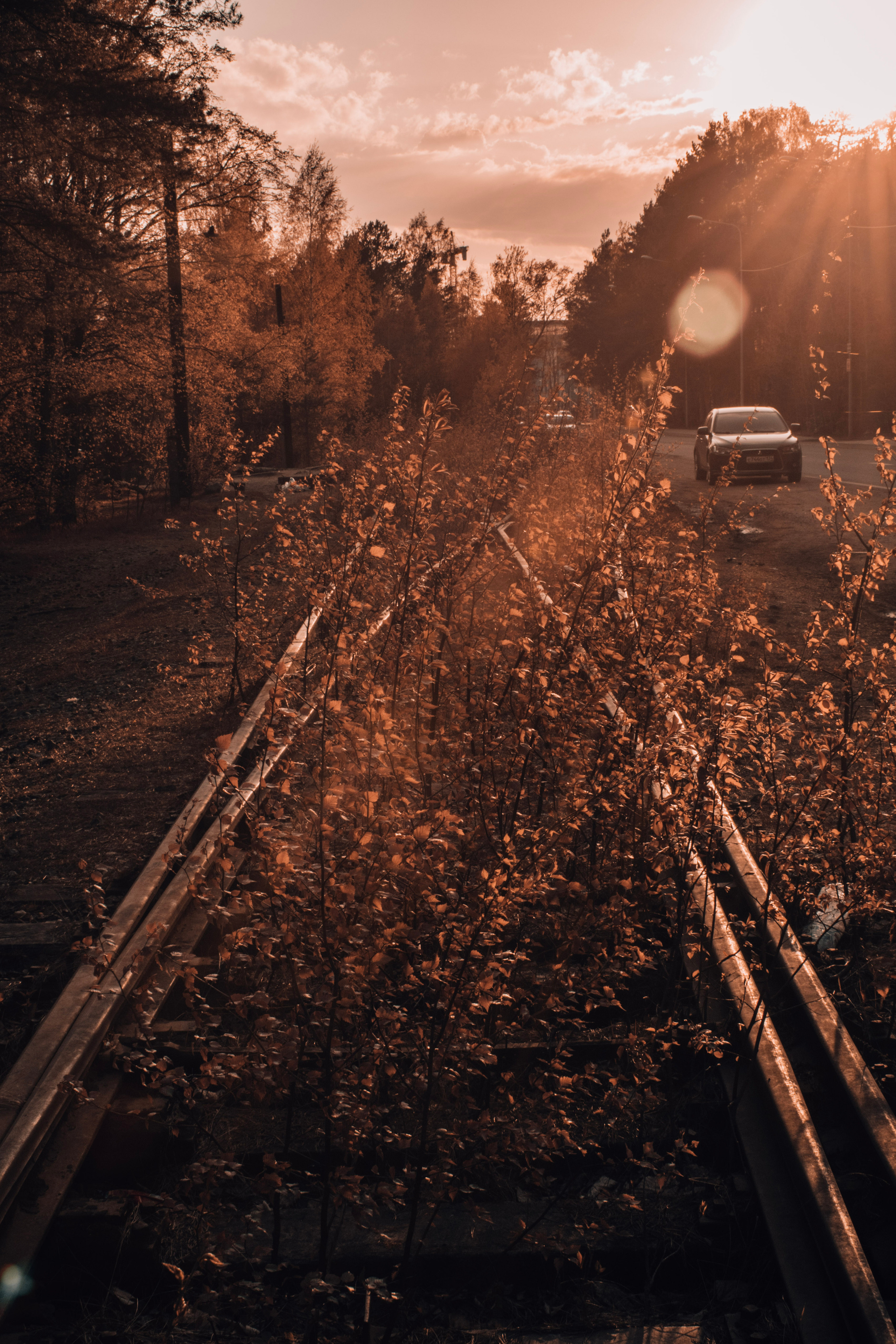 Весна 2019. Фотограф людей и животных в Санкт-Петербурге Марина Бурмистрова