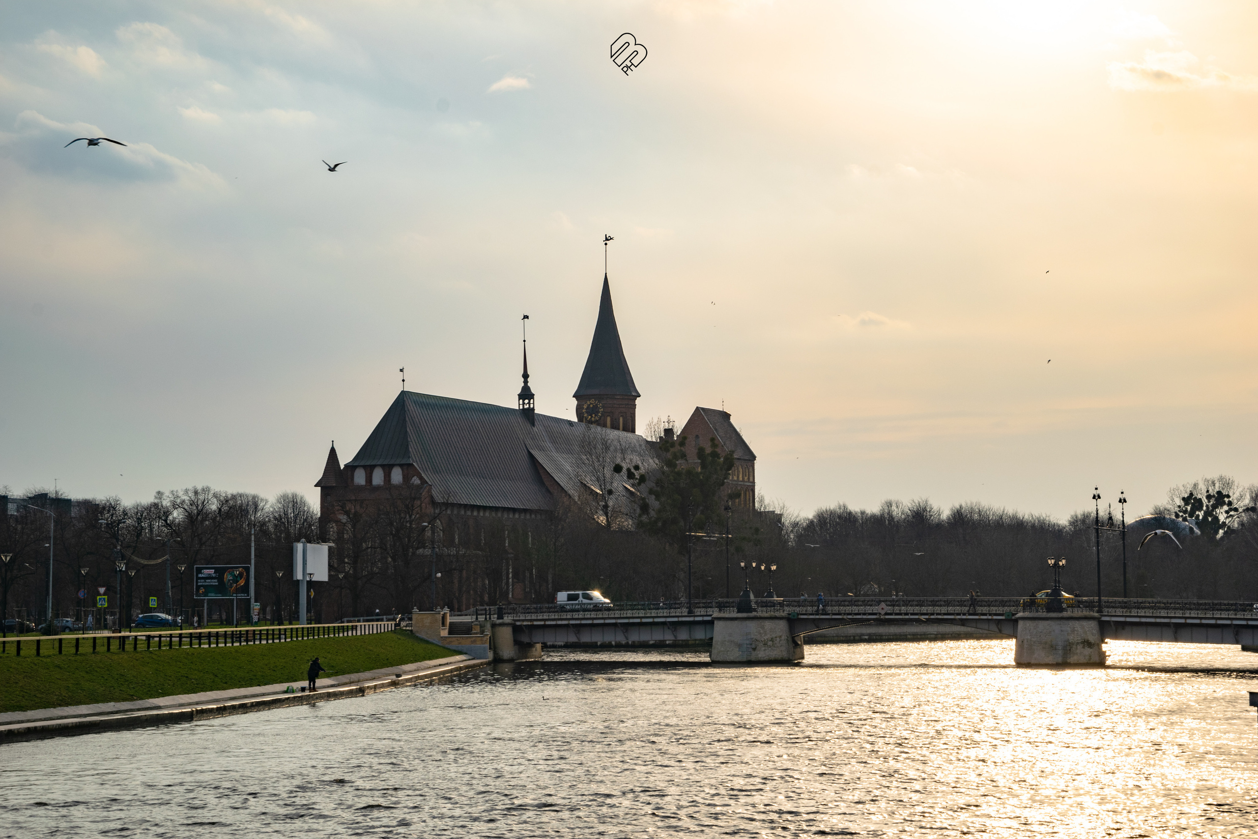 Поездка в Калининград. Фотограф людей и животных в Санкт-Петербурге Марина Бурмистрова