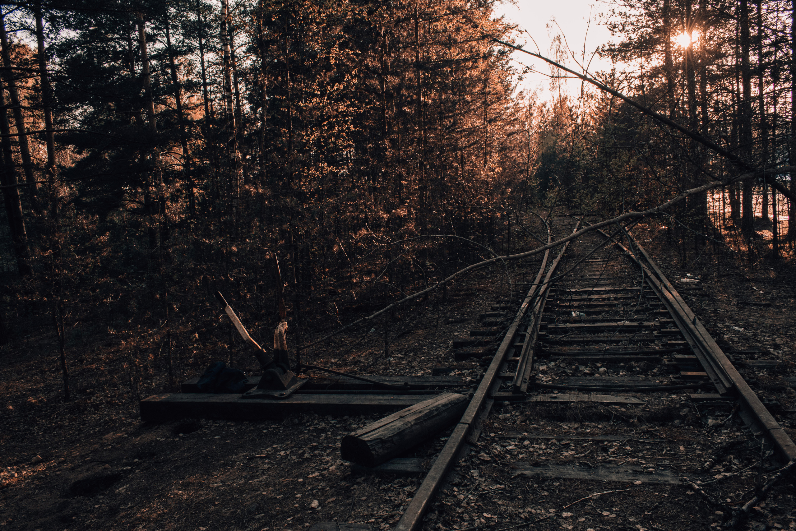 Весна 2019. Фотограф людей и животных в Санкт-Петербурге Марина Бурмистрова